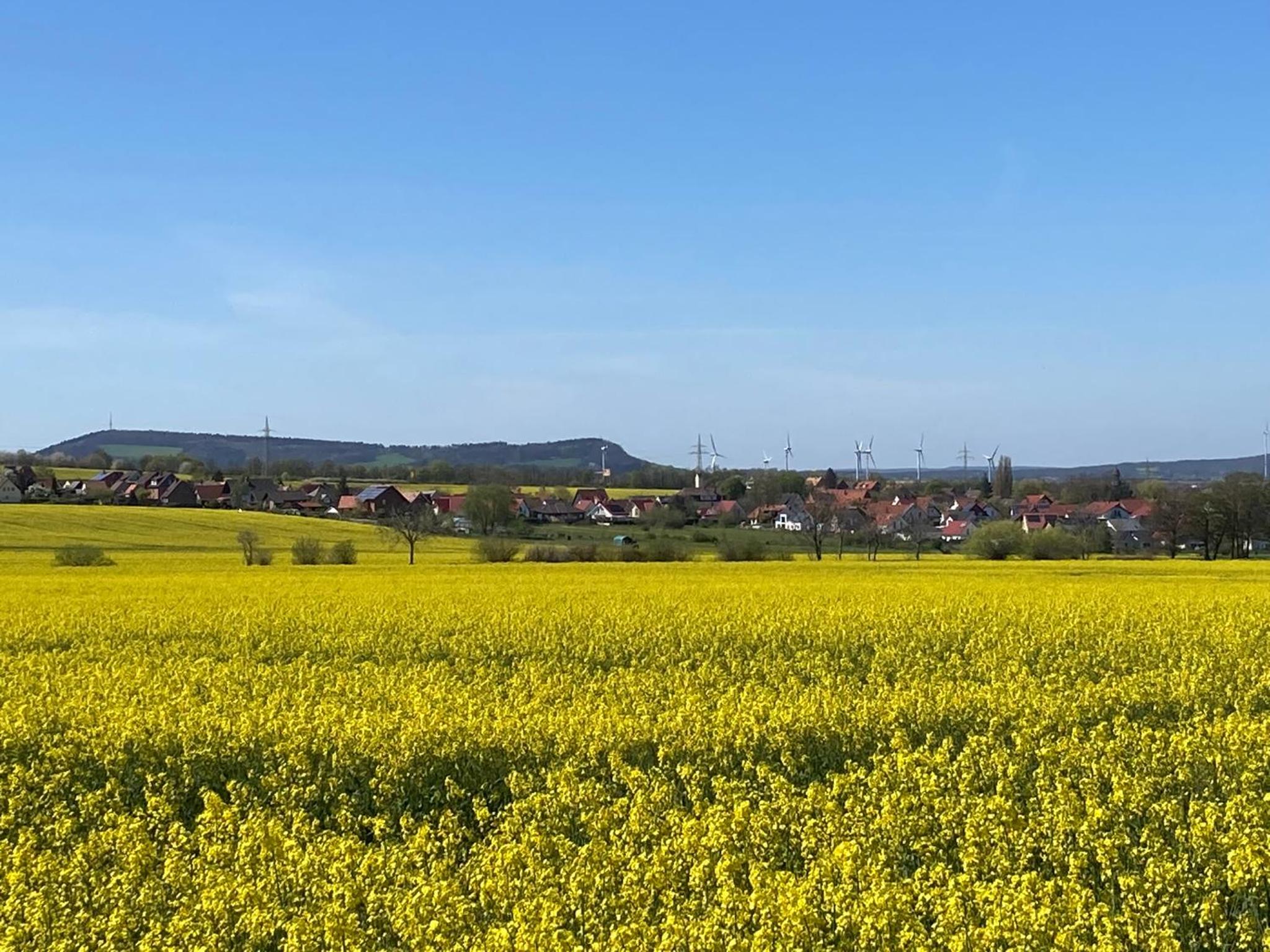 Ferienwohnungen bei der Purpurbuche