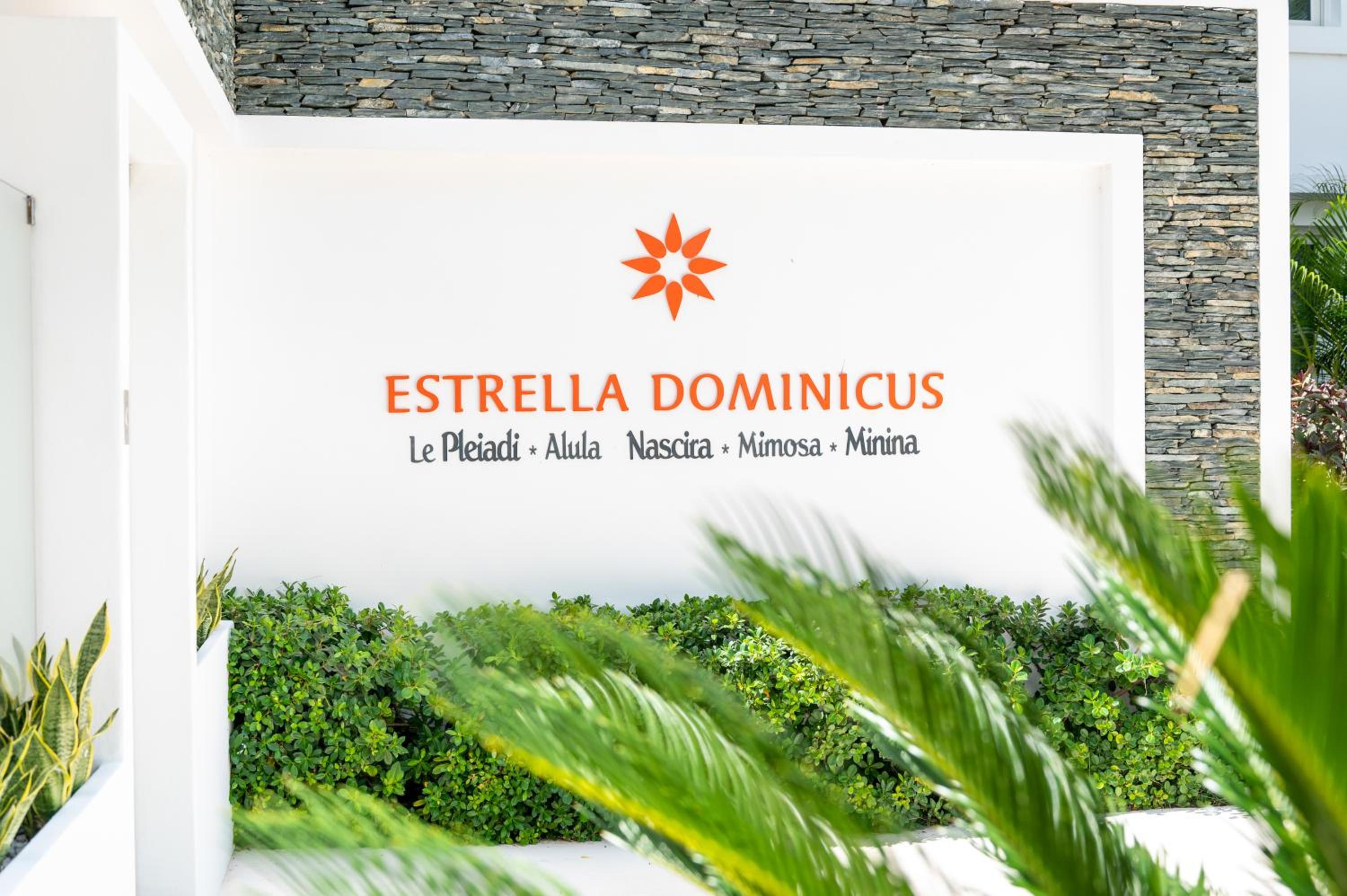 Paradise Dream Dominicus