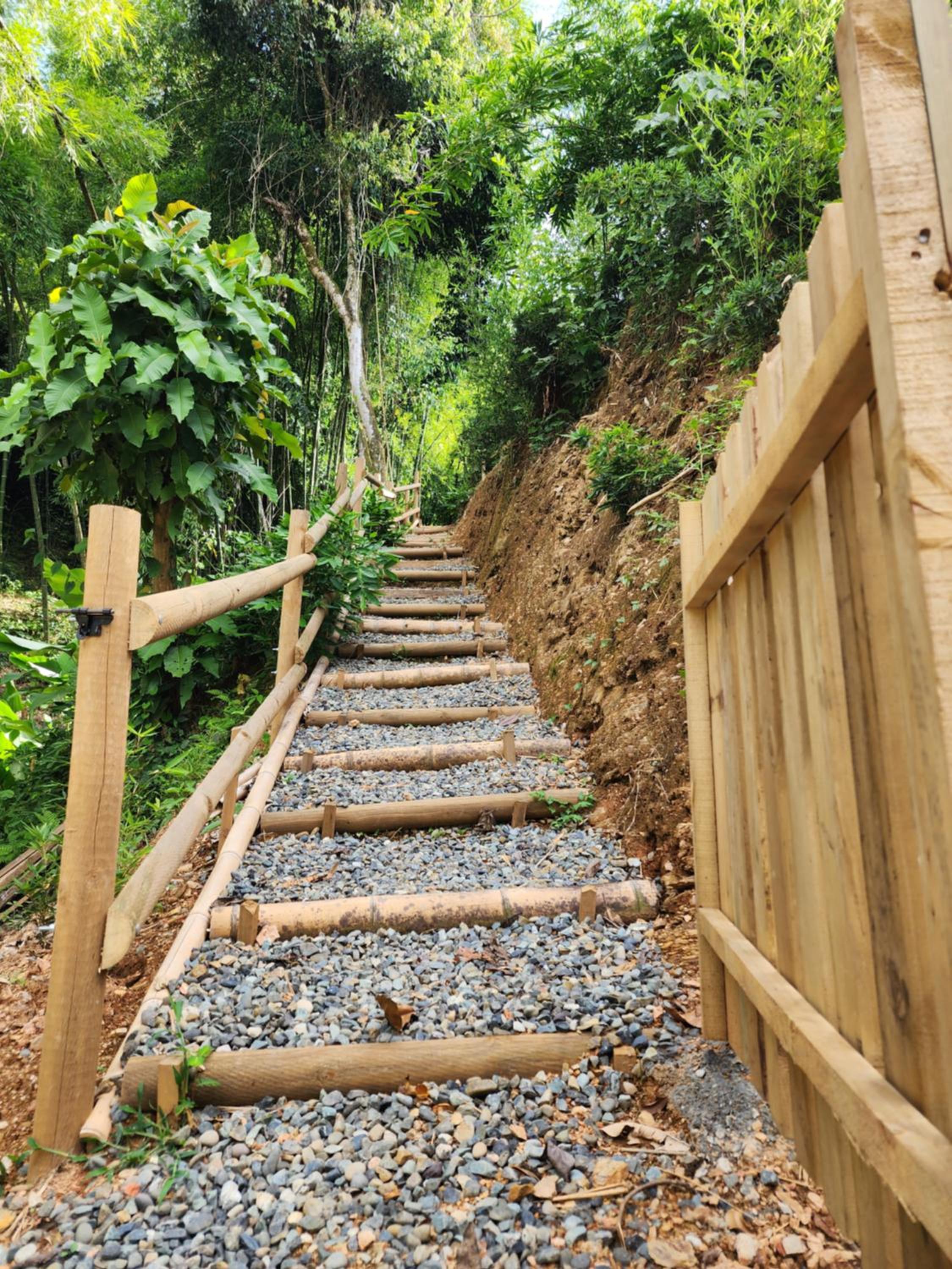 Cabaña Bambú