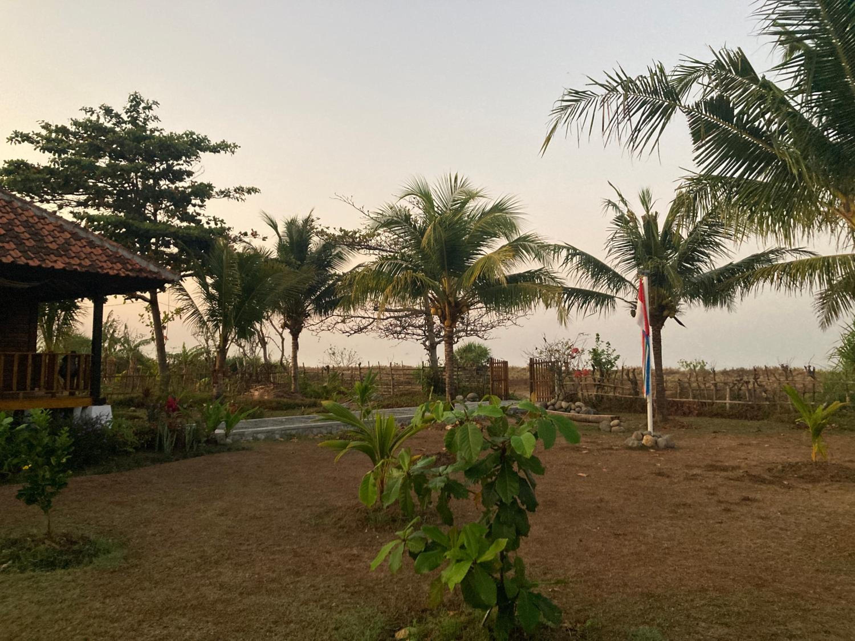 B&B Family Farmhouse view 5