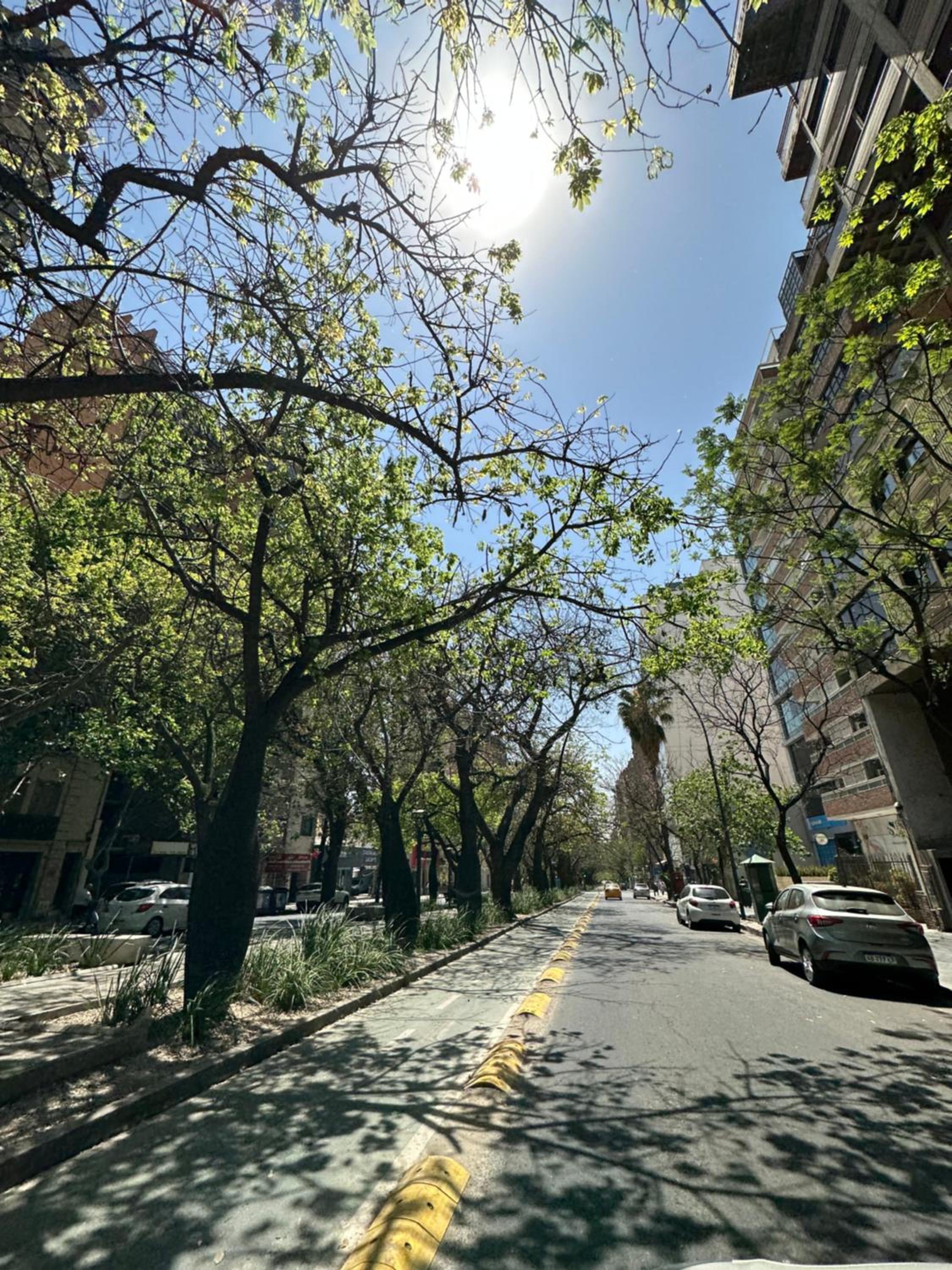 Departamento premium, la mejor zona de Nueva Córdoba