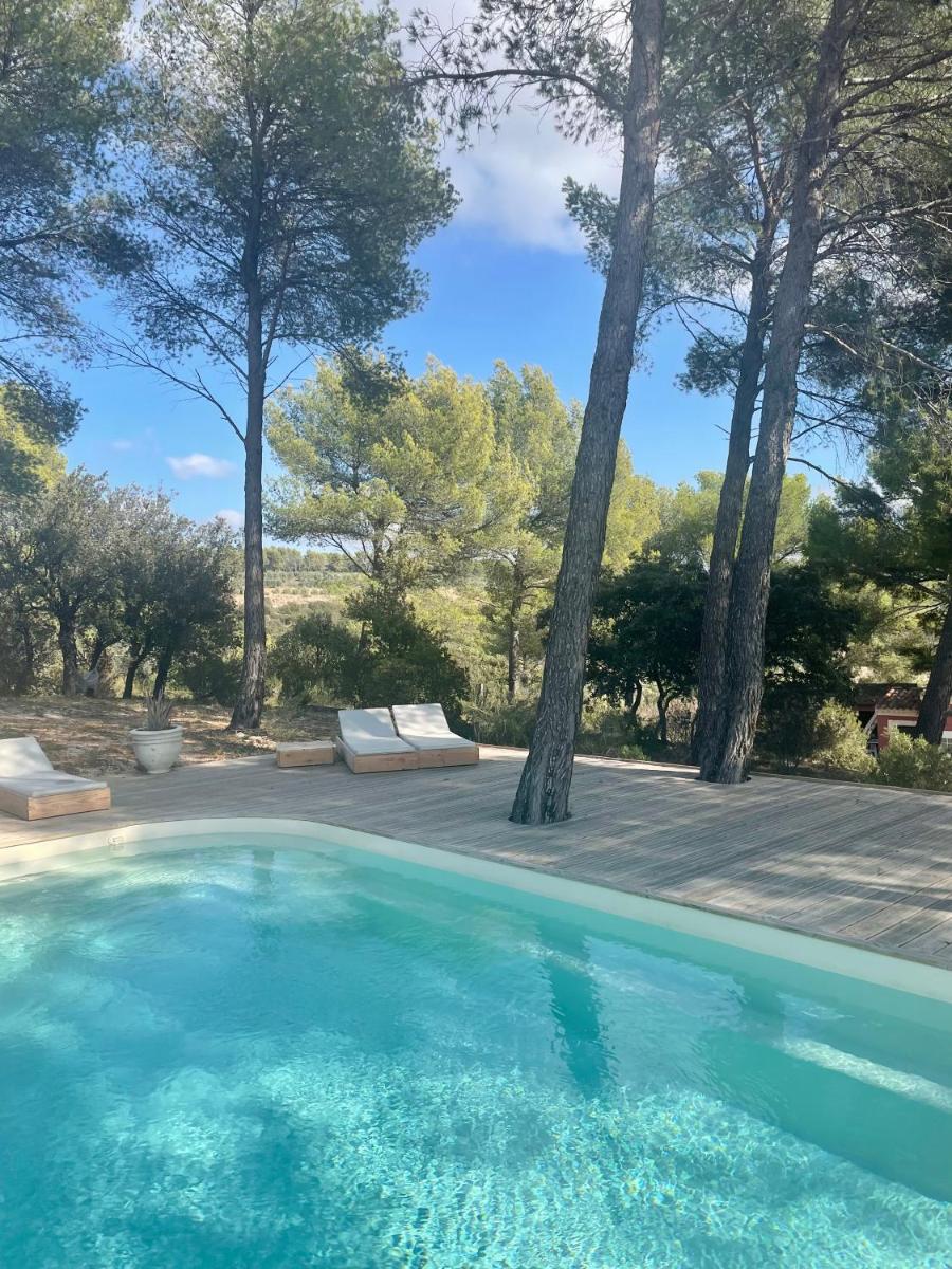 Le Cigalon view 4