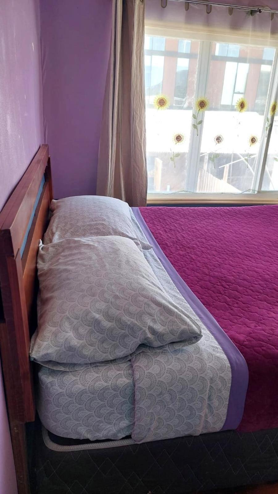 Fungi Hostal