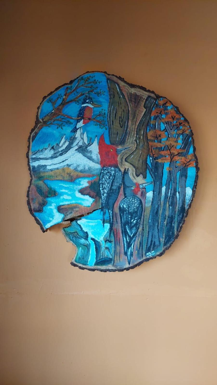 Fungi Hostal