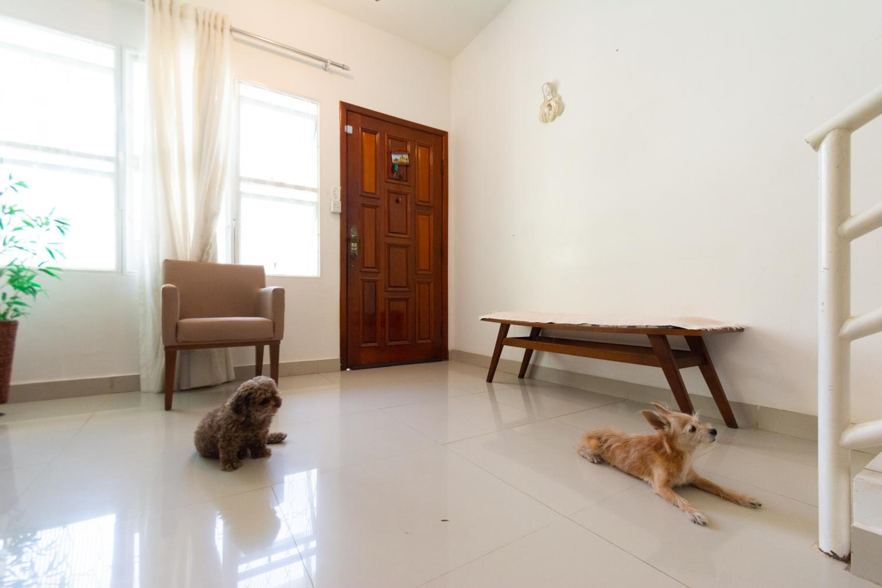 HOSTEL DIKASA