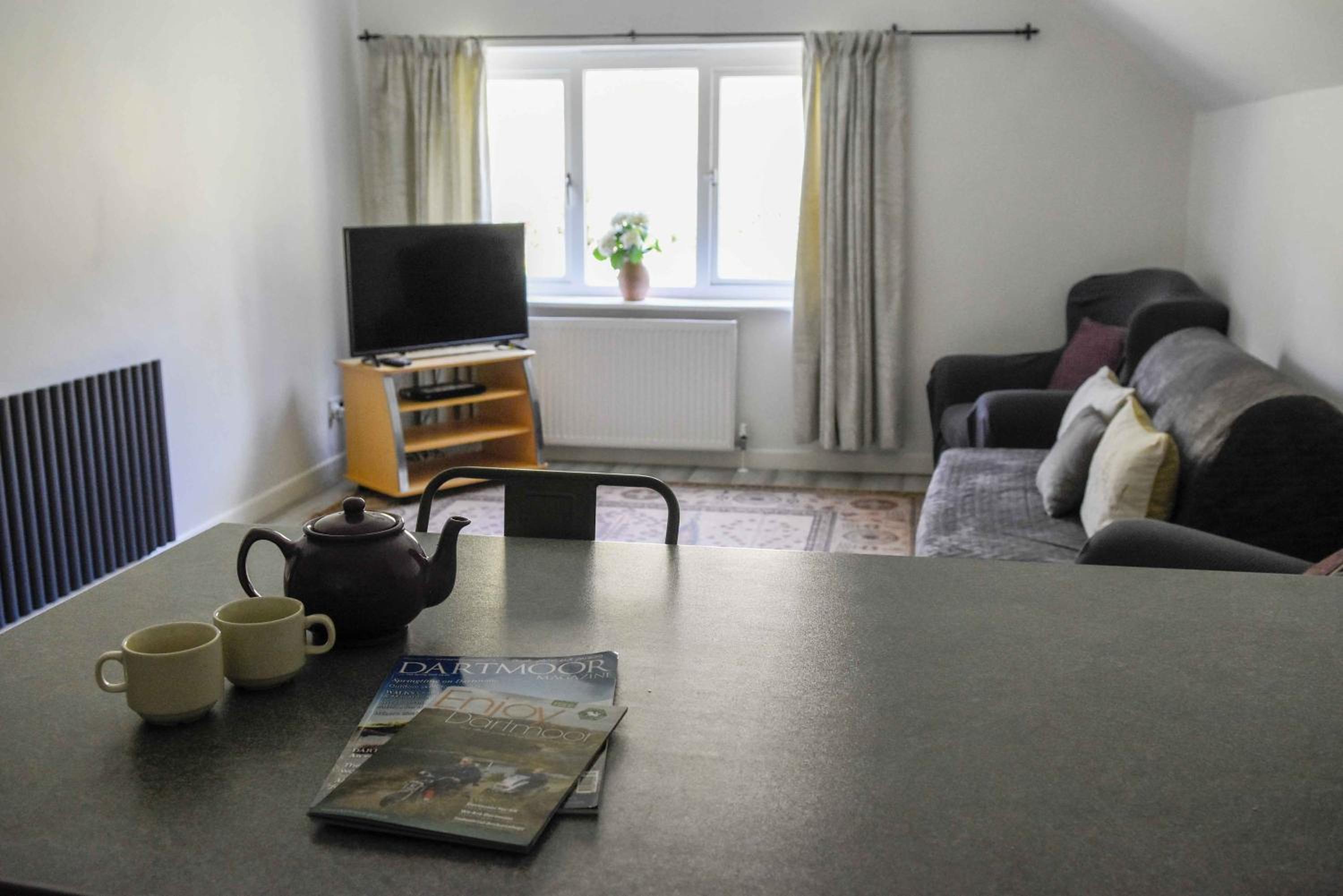 Fox Tor Apartment view 2