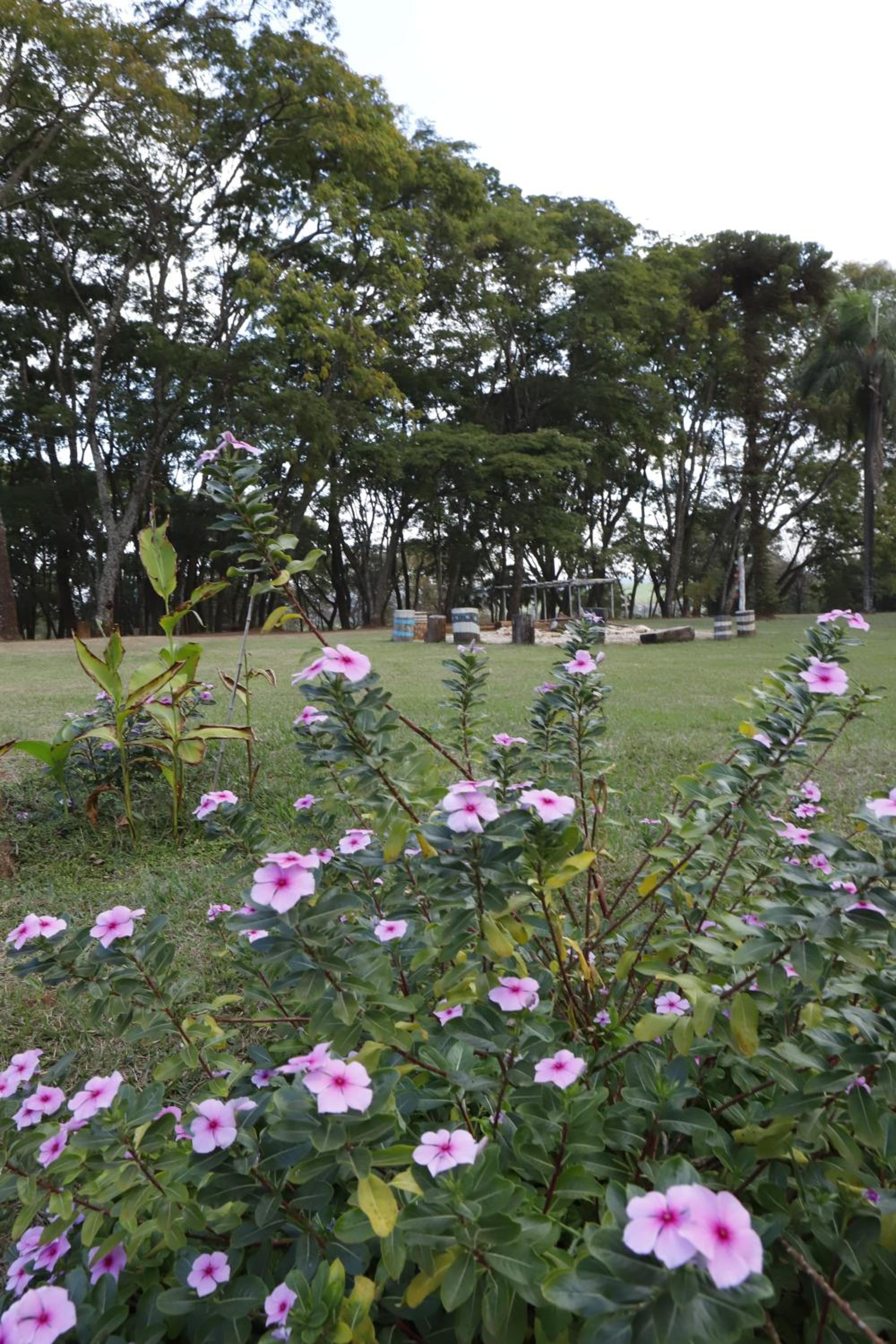 Sitio SMC - 15 min do centro de Altinópolis
