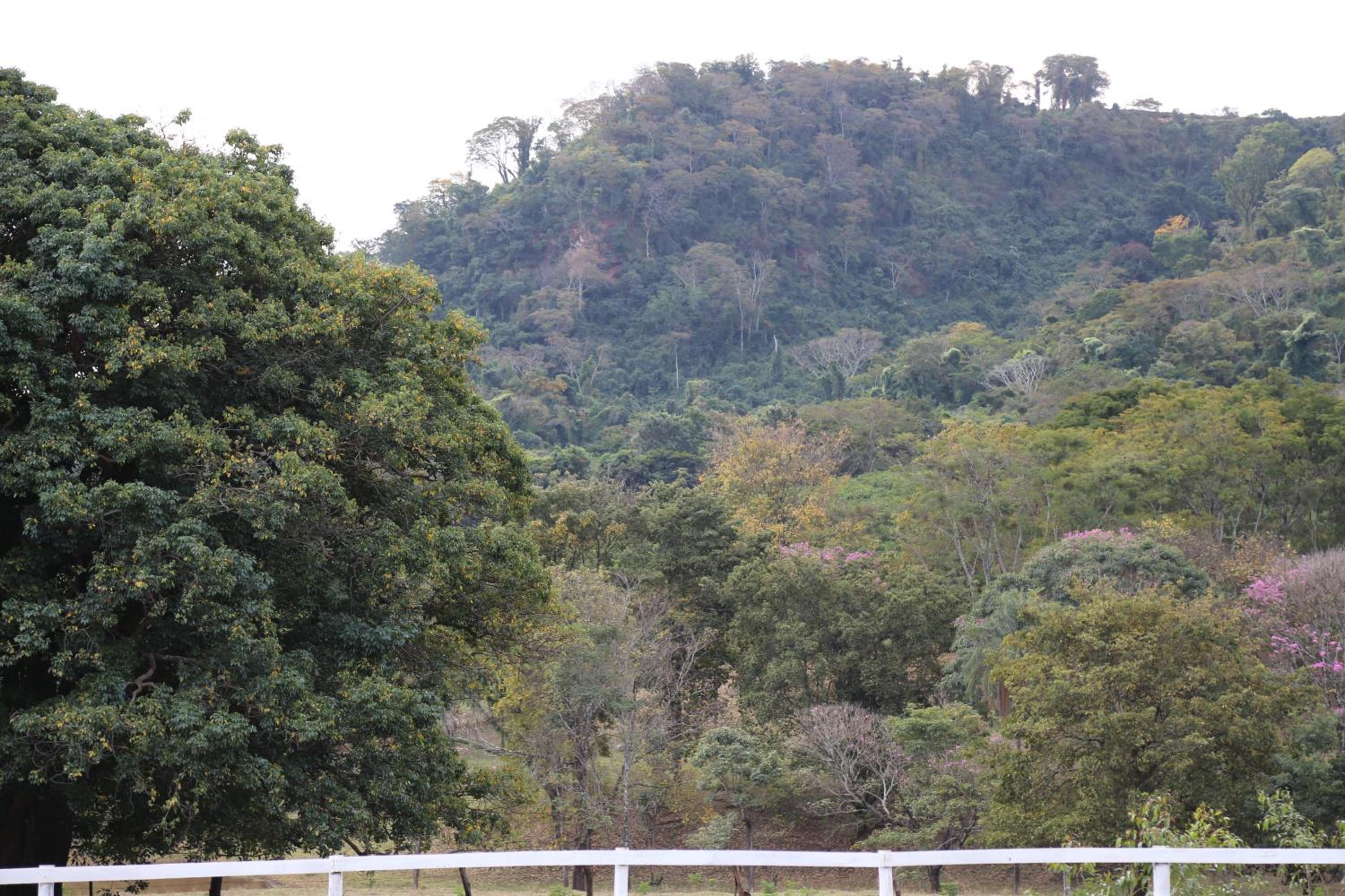 Sitio SMC - 15 min do centro de Altinópolis