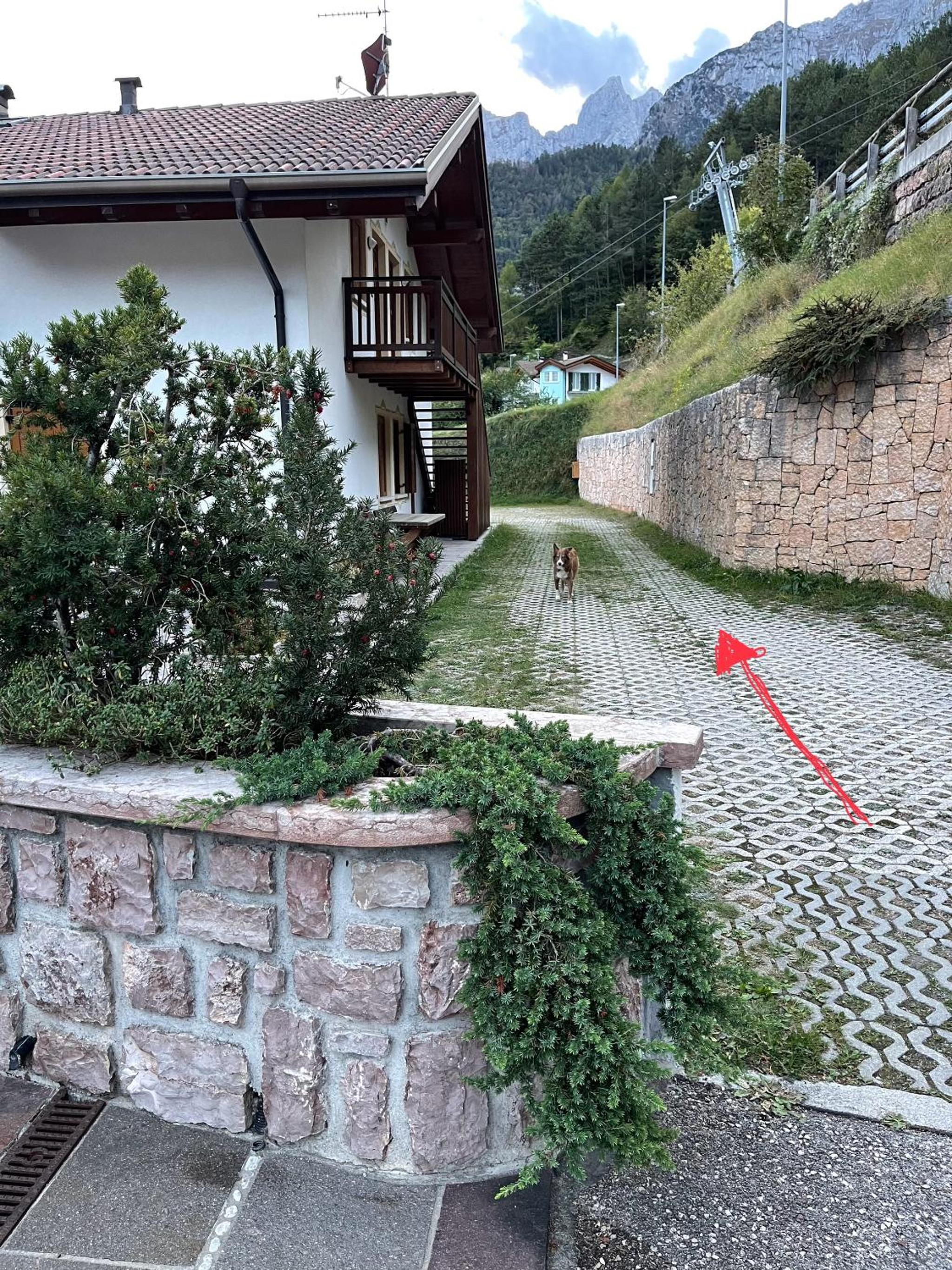 Photo 25