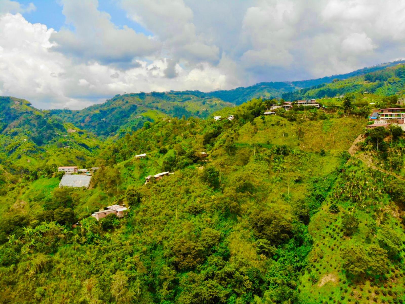 Mountain View Finca Campestre