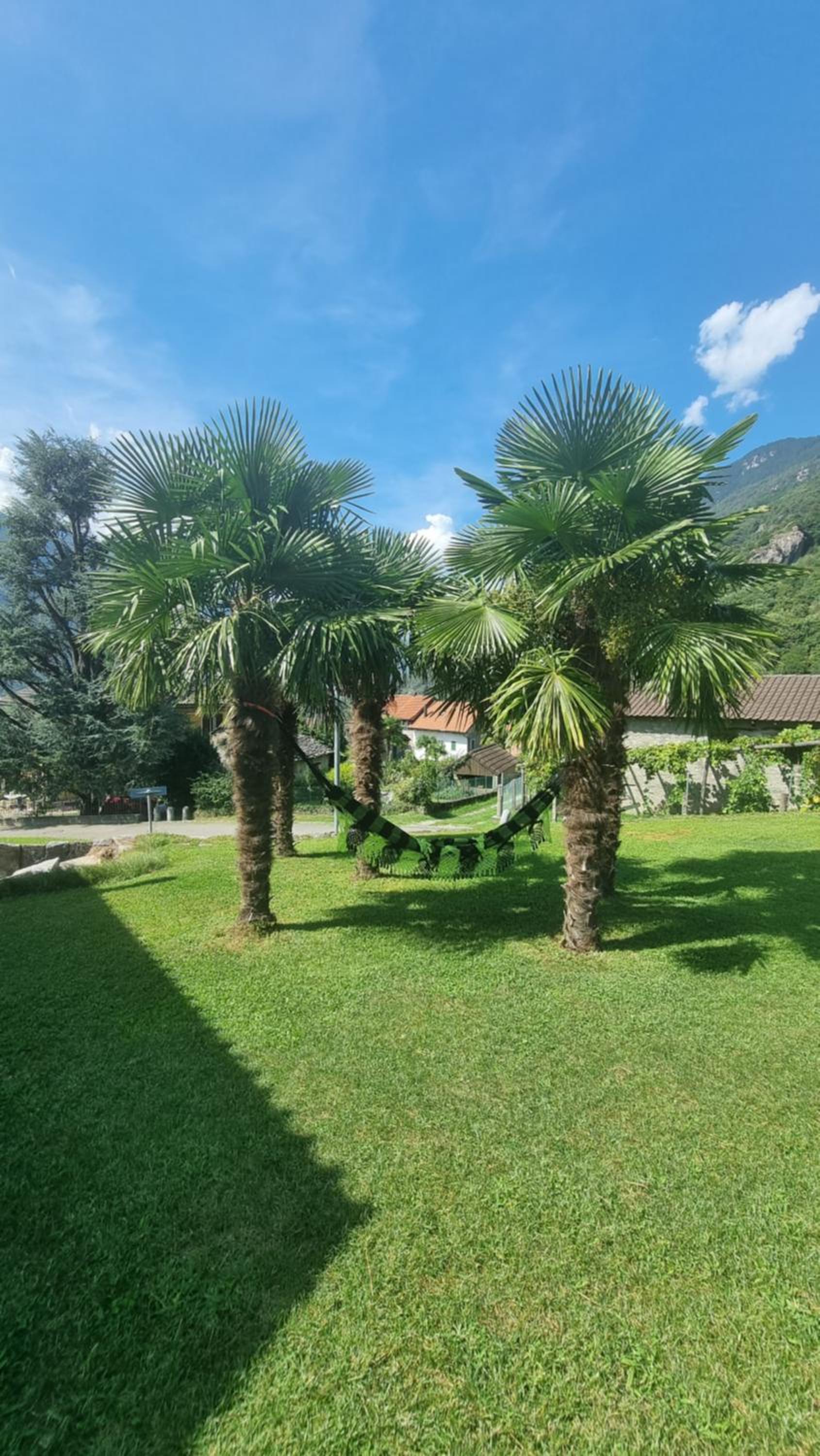 Il Rustico Claro
