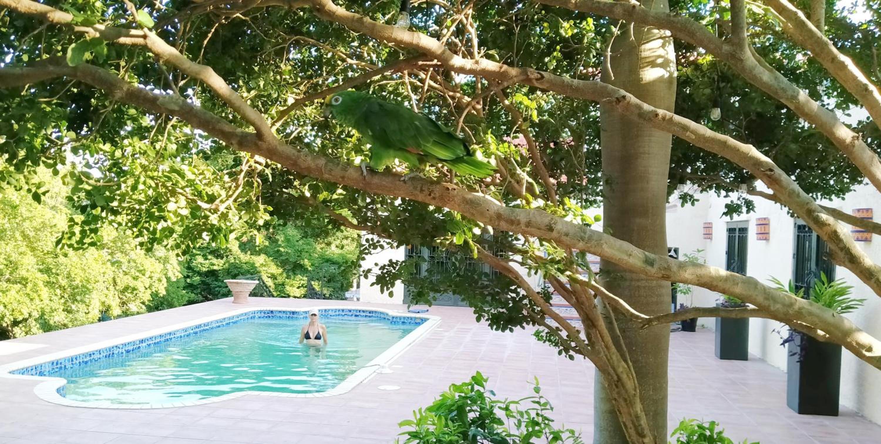 Villa Casablanca