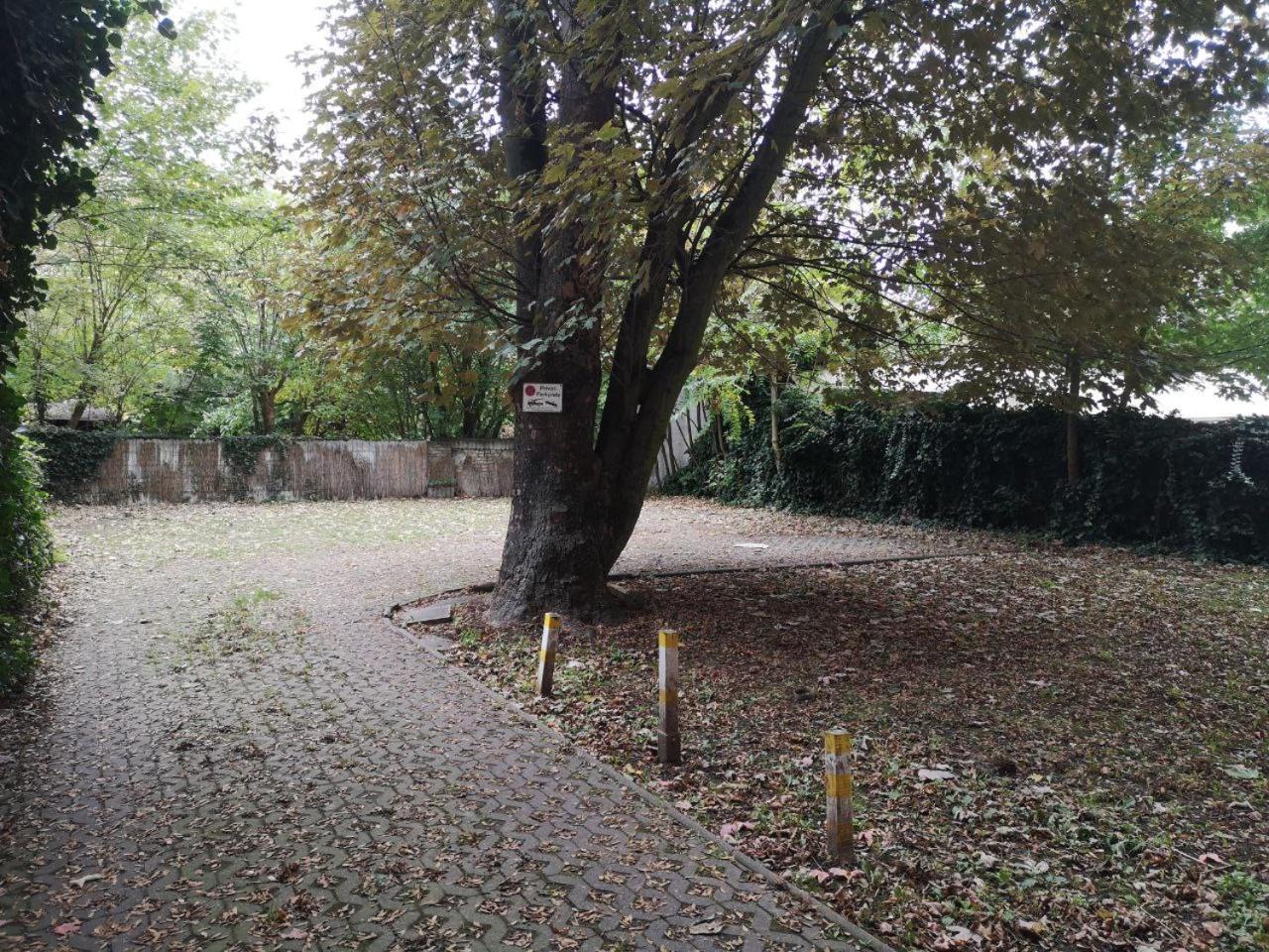RR - Spacious Apartments - Parking - Central