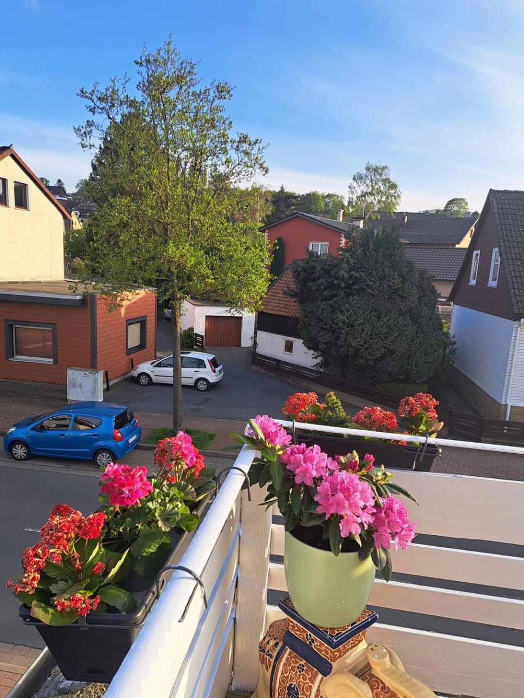 FeWo im Harz