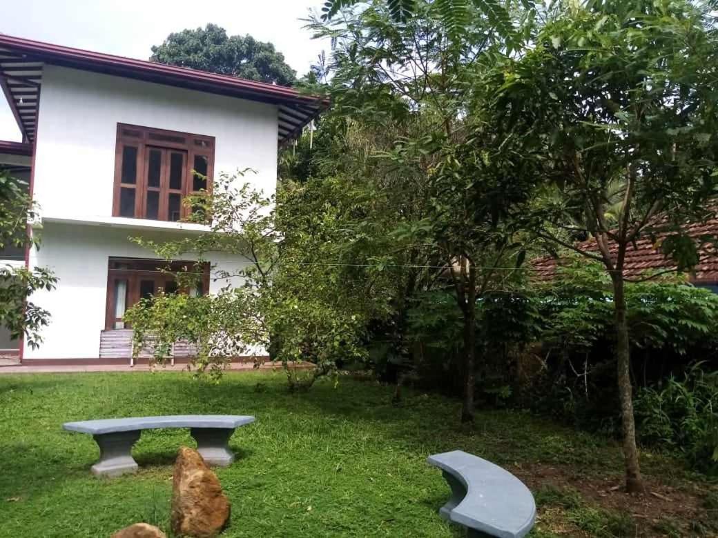 Clump Villa view 2