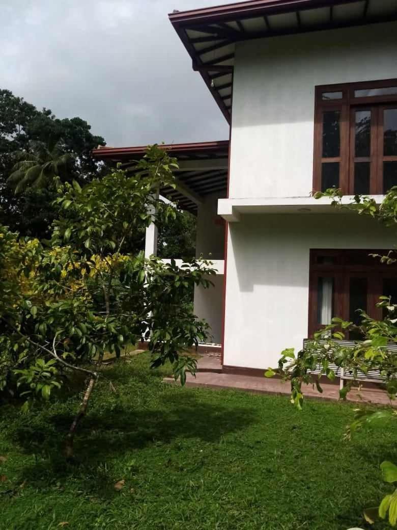 Clump Villa view 3