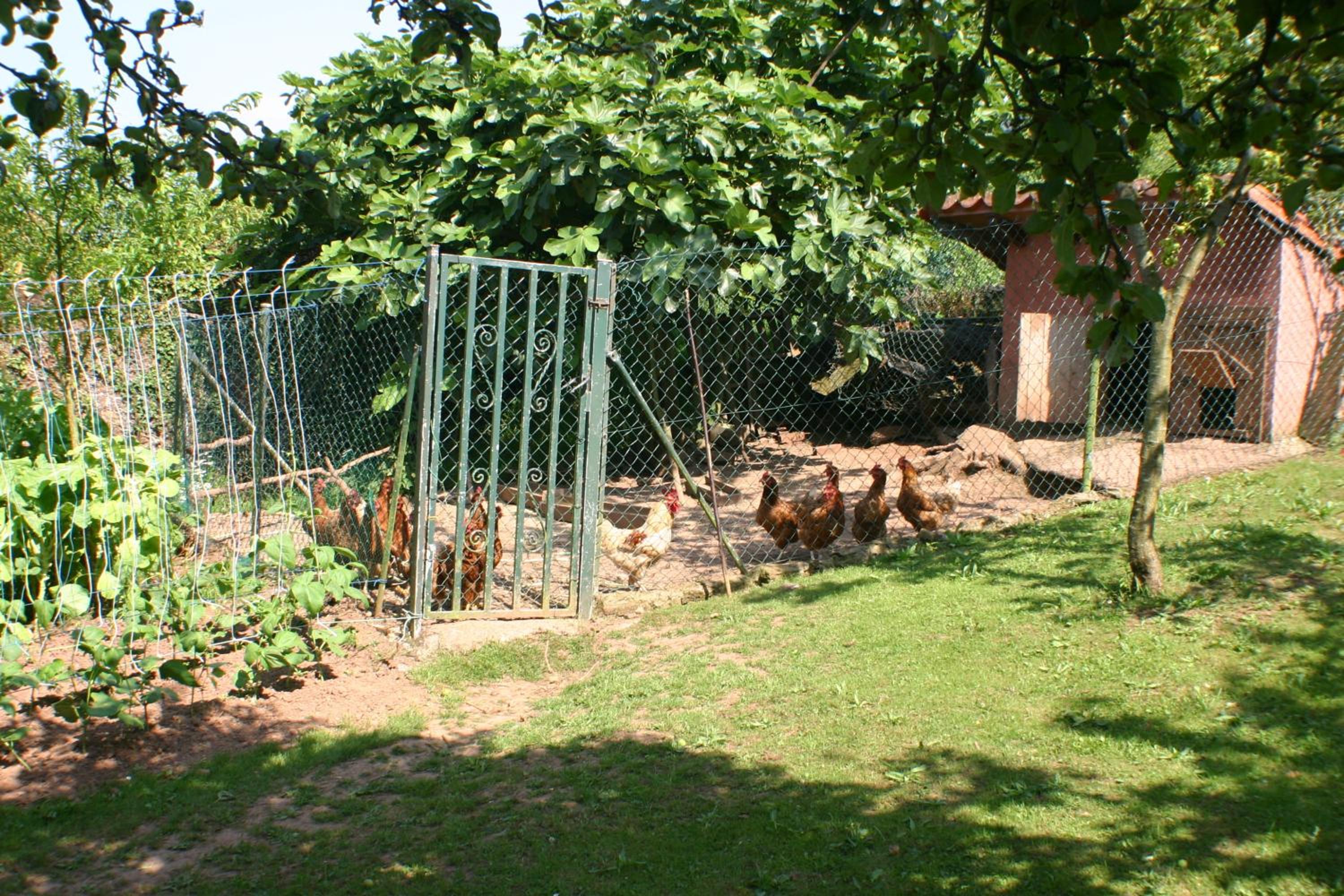 Photo 21