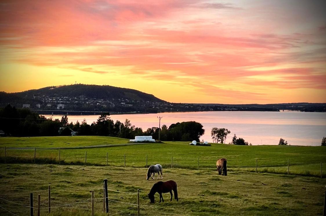 Stuga på hästgård med sjöutsikt view 5
