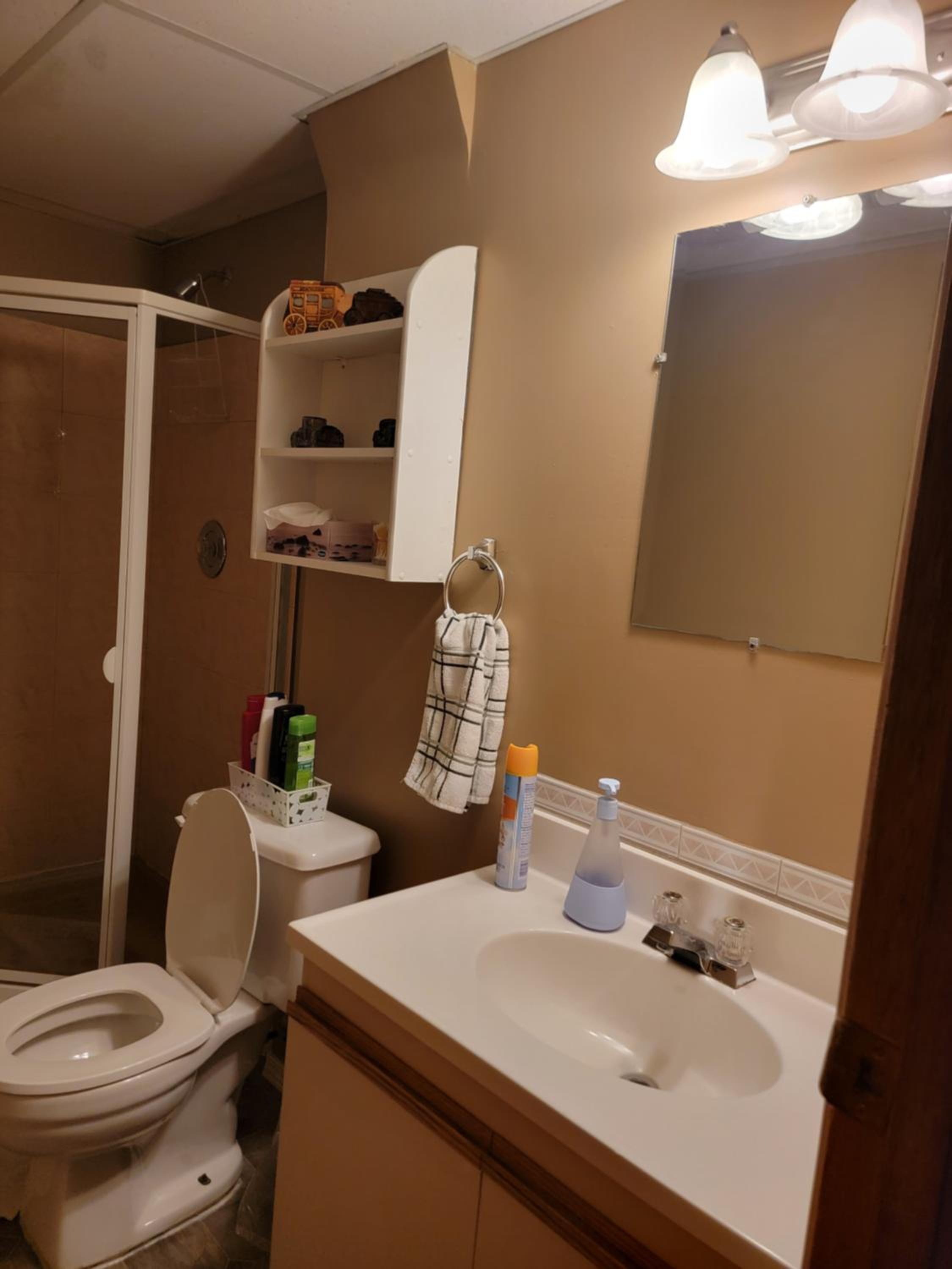 Kamloops Vacations - Charming - 2 bedrooms basemnt, 1 full bath  rec room - Property Image 20