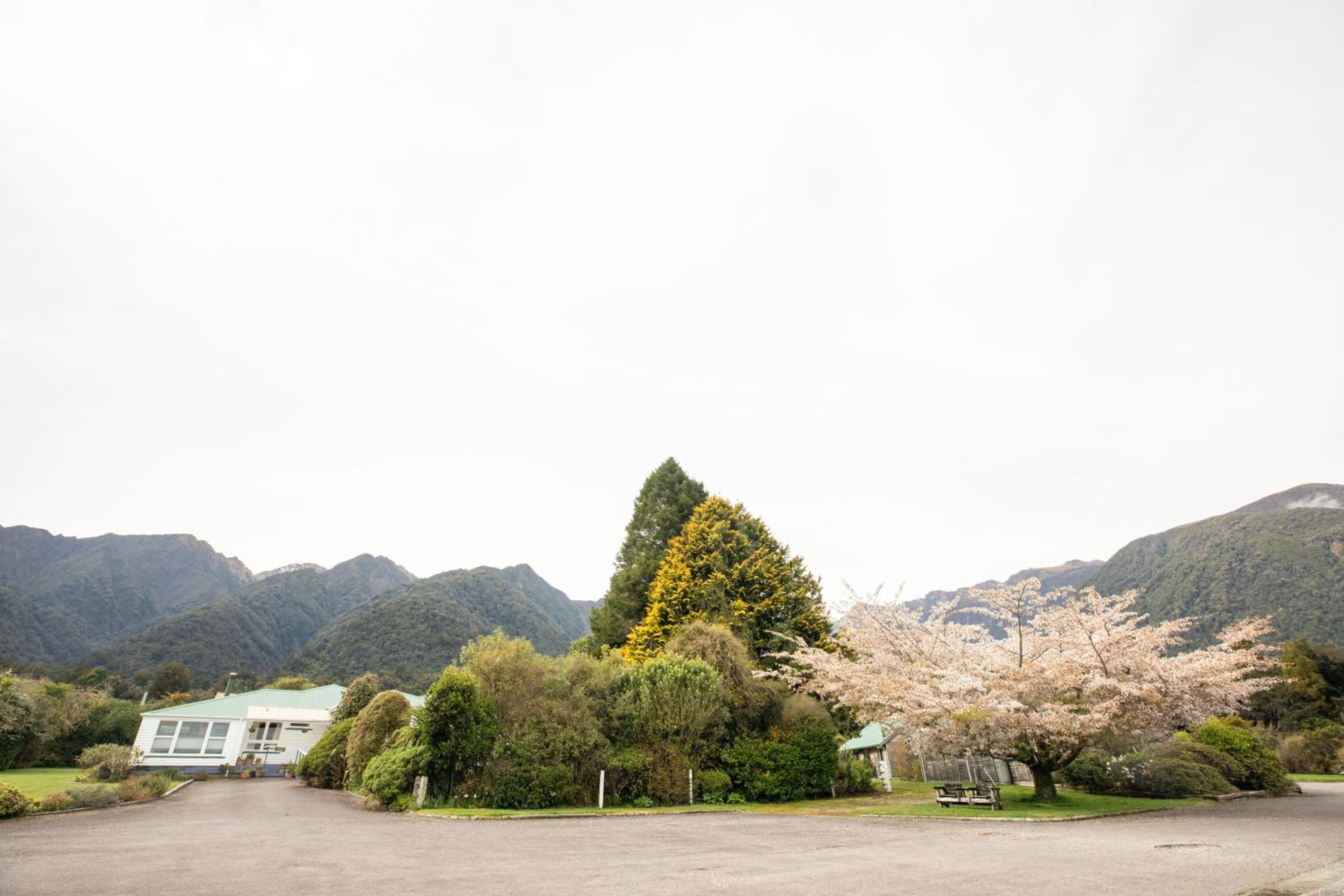 Rainforest Motel