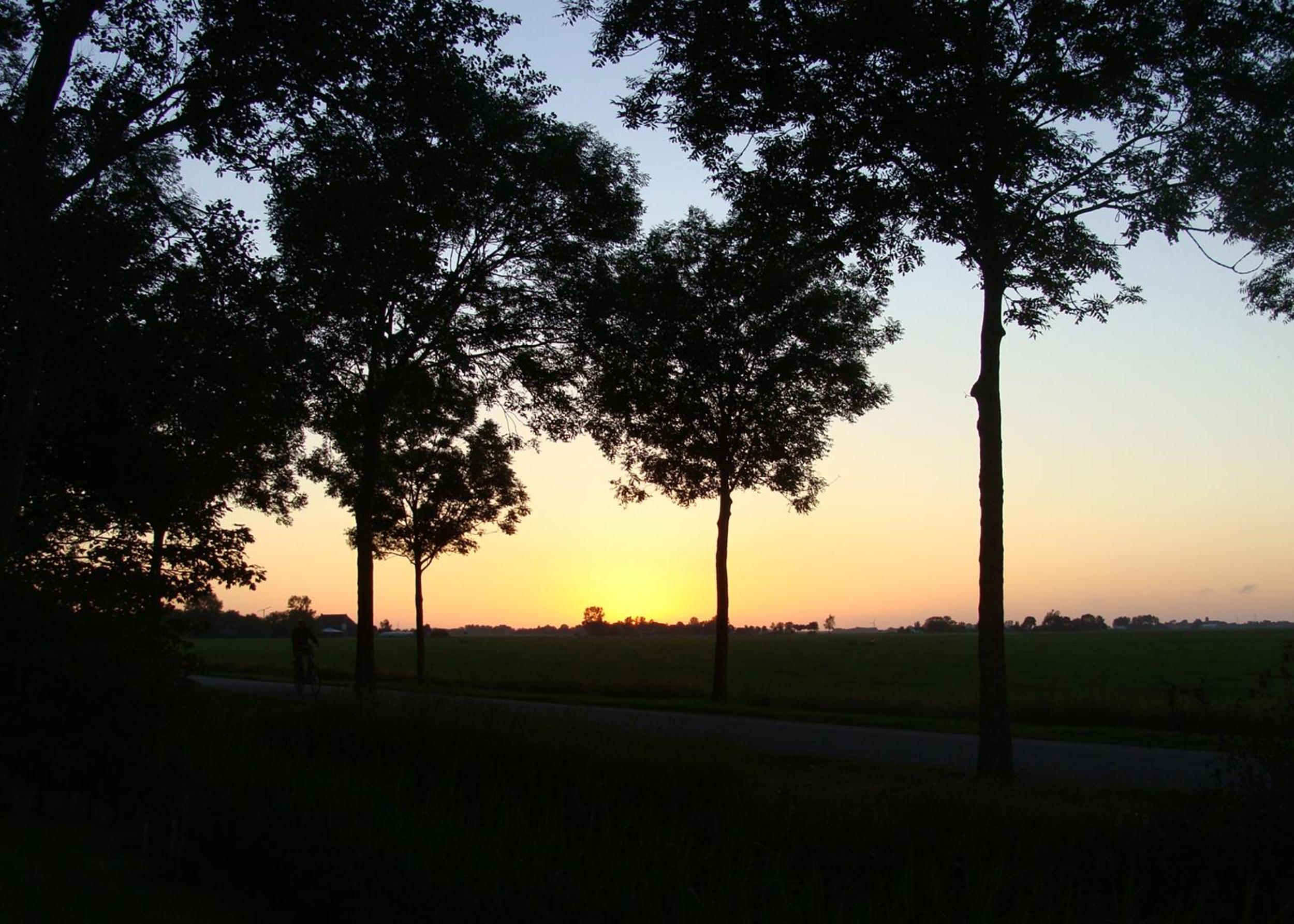 Photo 35