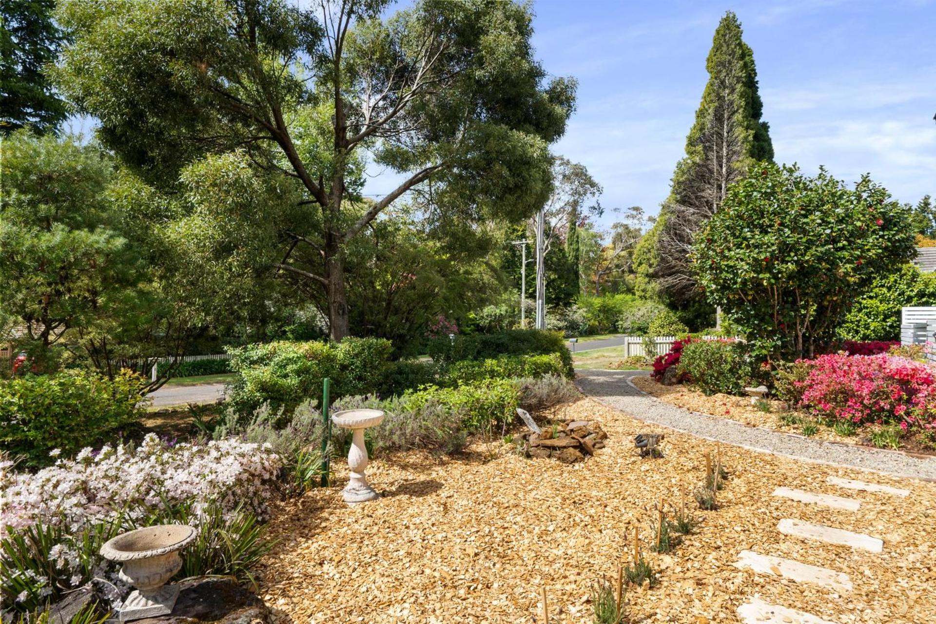 Banksia Tops