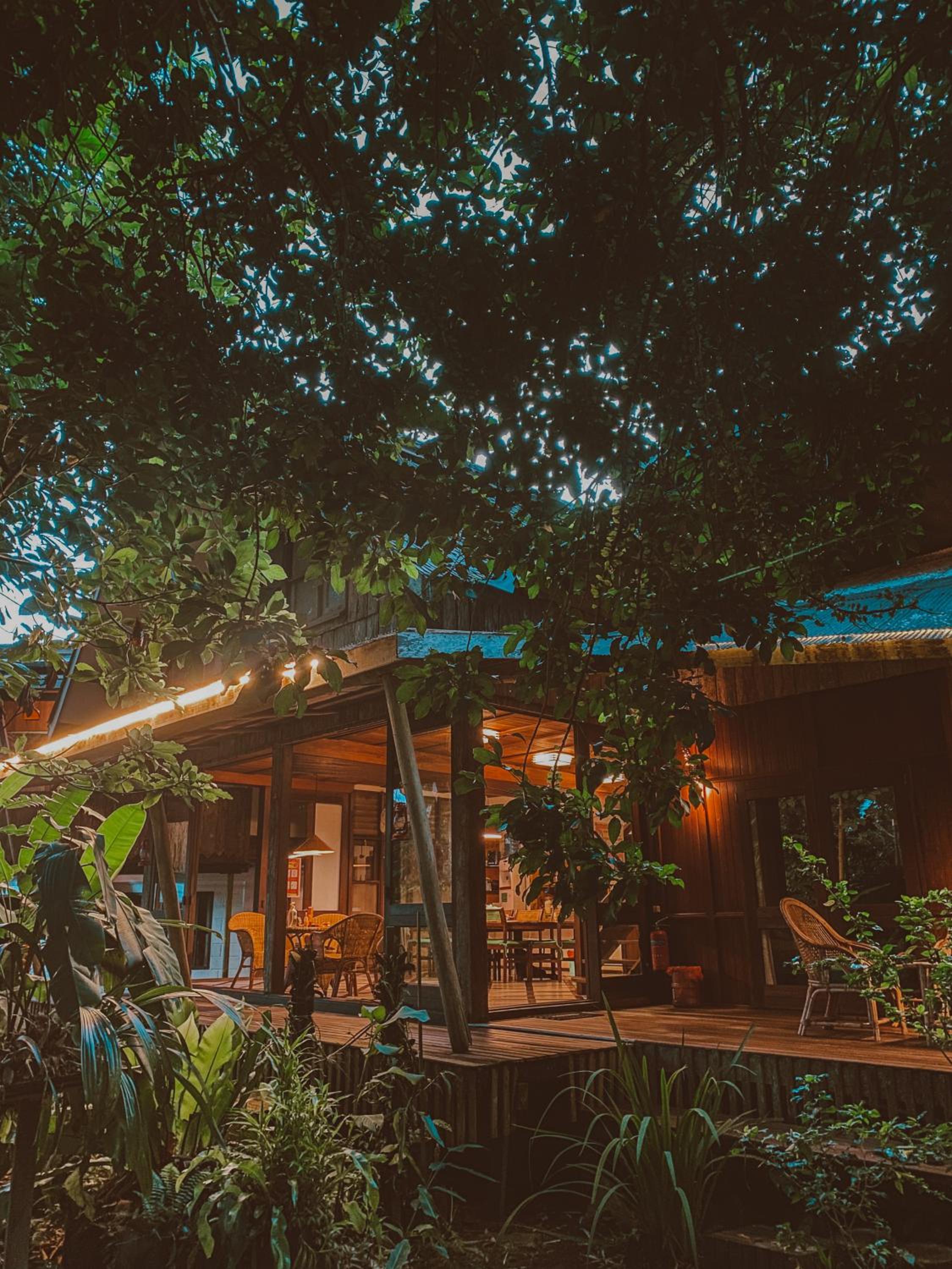 Bukit Raya Guesthouse