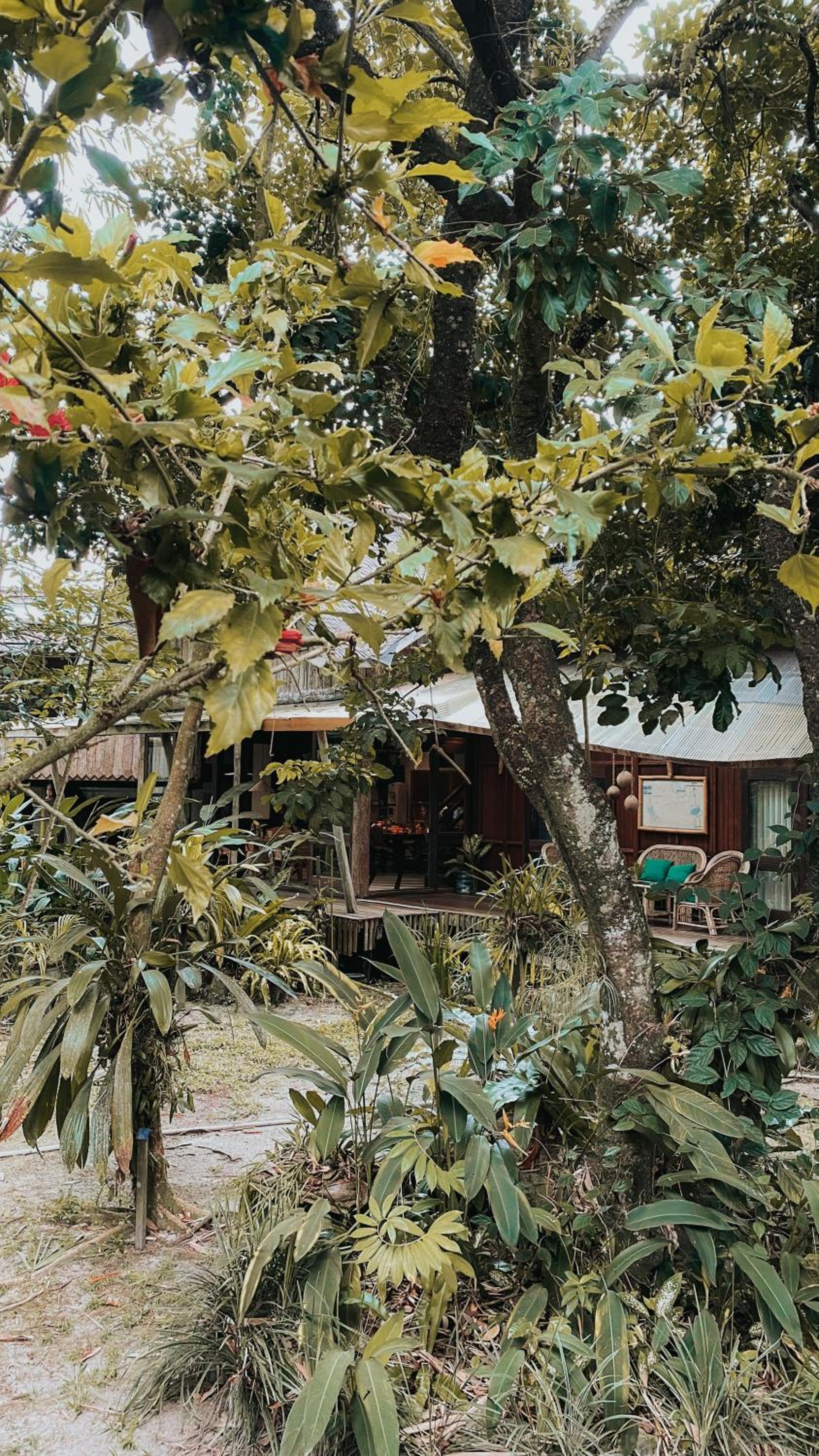 Bukit Raya Guesthouse