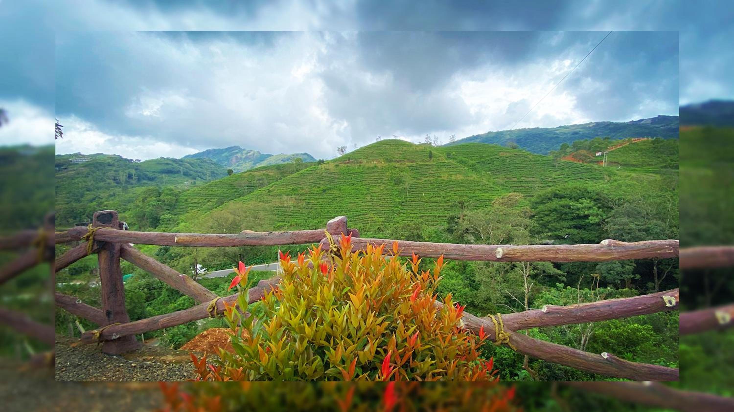 Hill Monk - Bethany Heights view 4