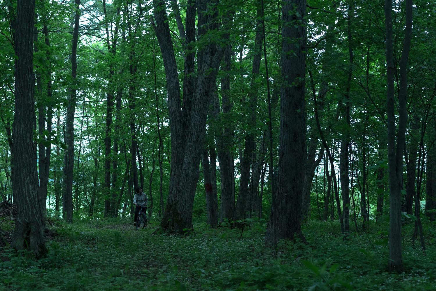 Photo 28