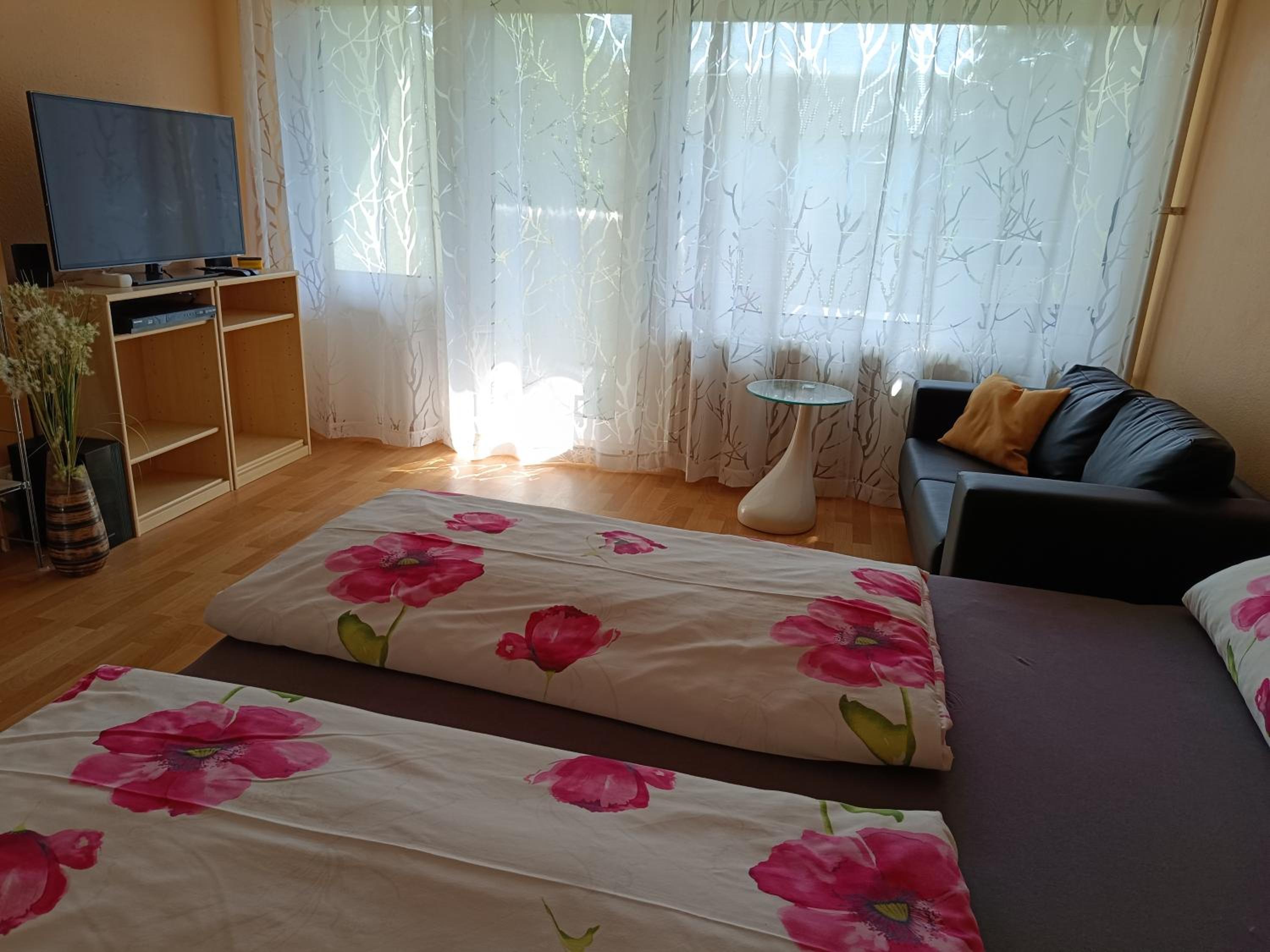 Offenburg Apartment en Offenburg