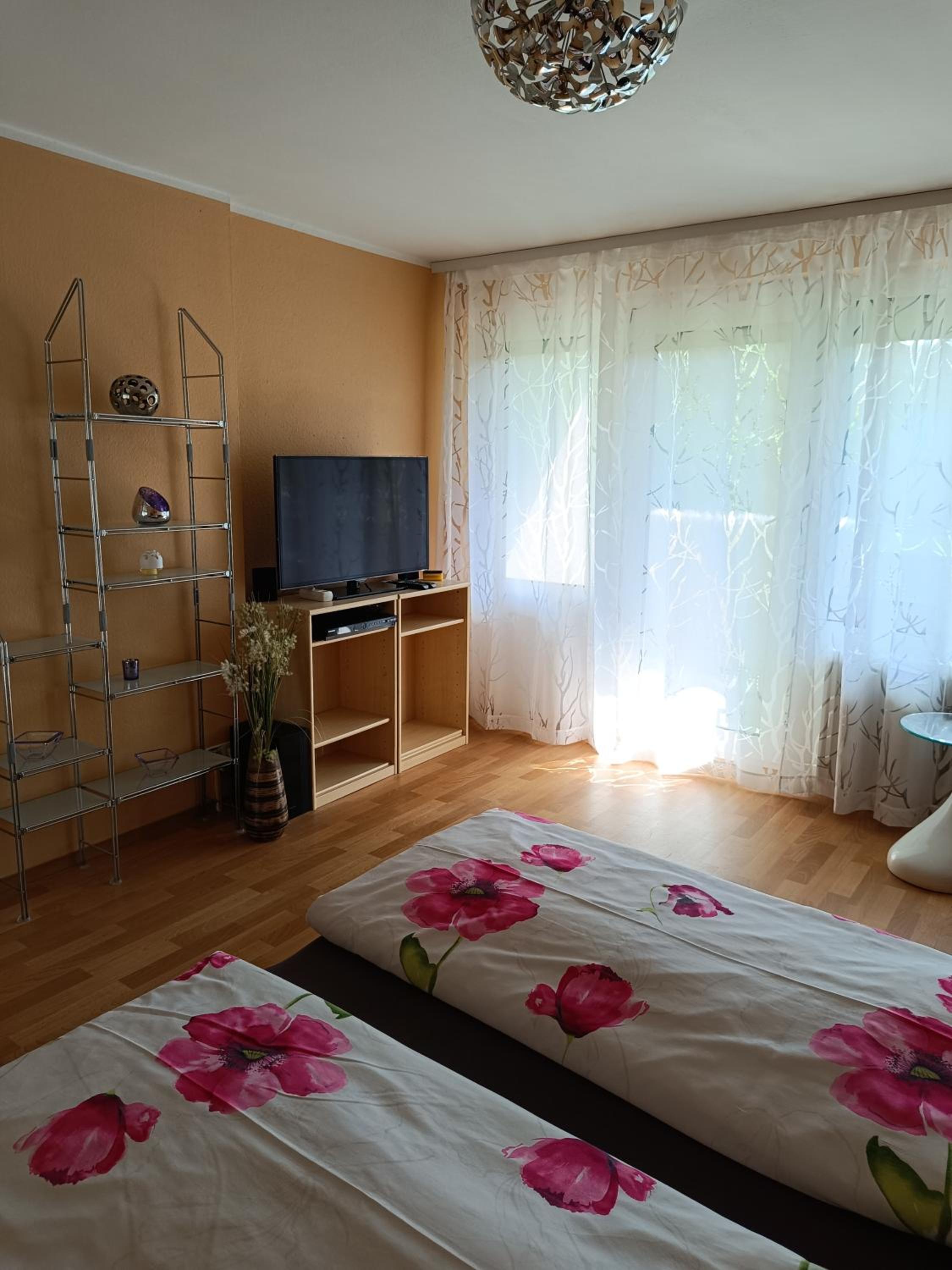 Offenburg Apartment en Offenburg