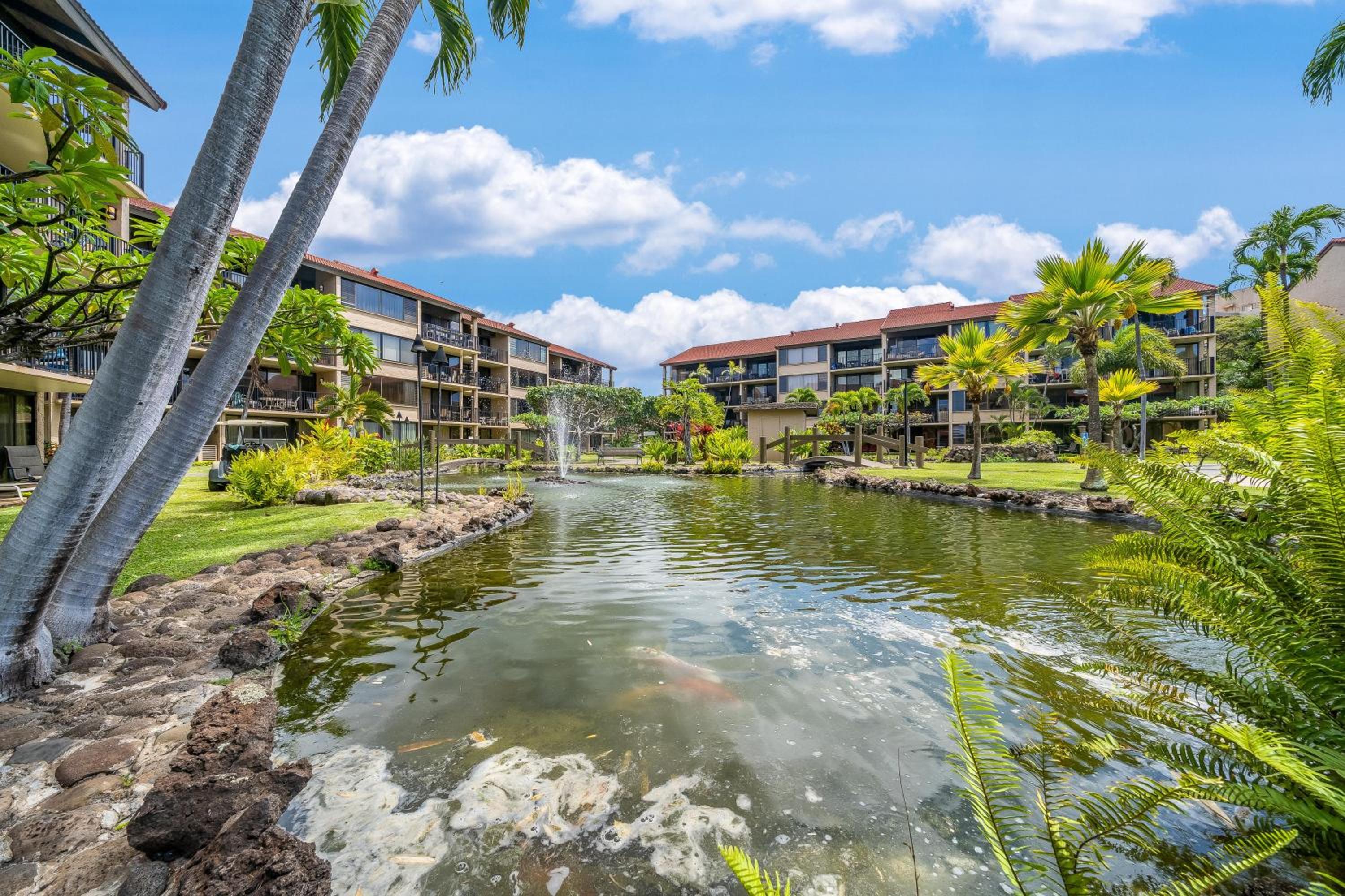 Papakea L208 · PK L208 True Oceanfront 1BD with stunning sunset