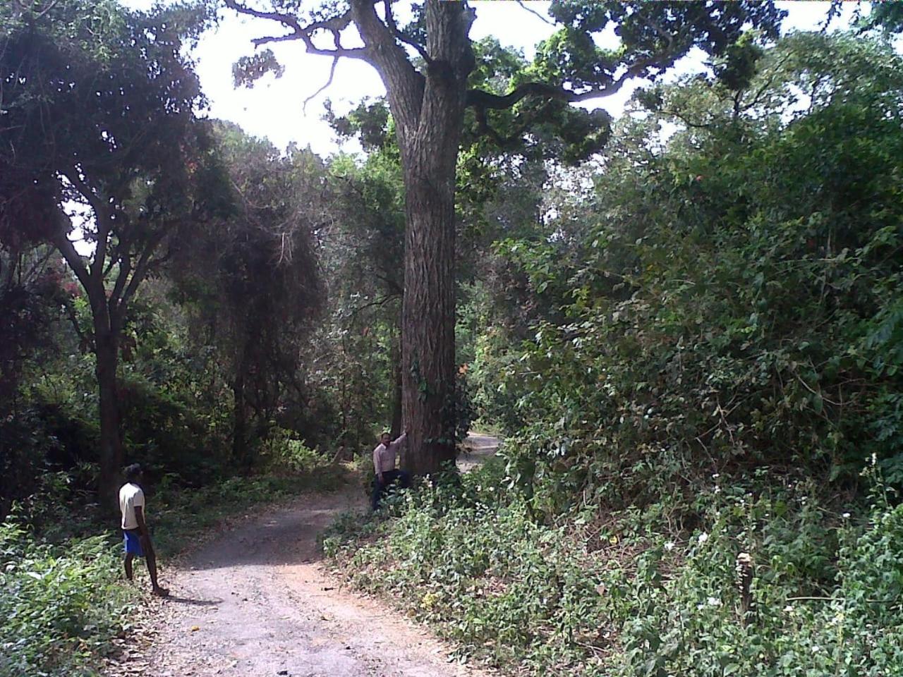 Coorg Northbreeze Estate stay