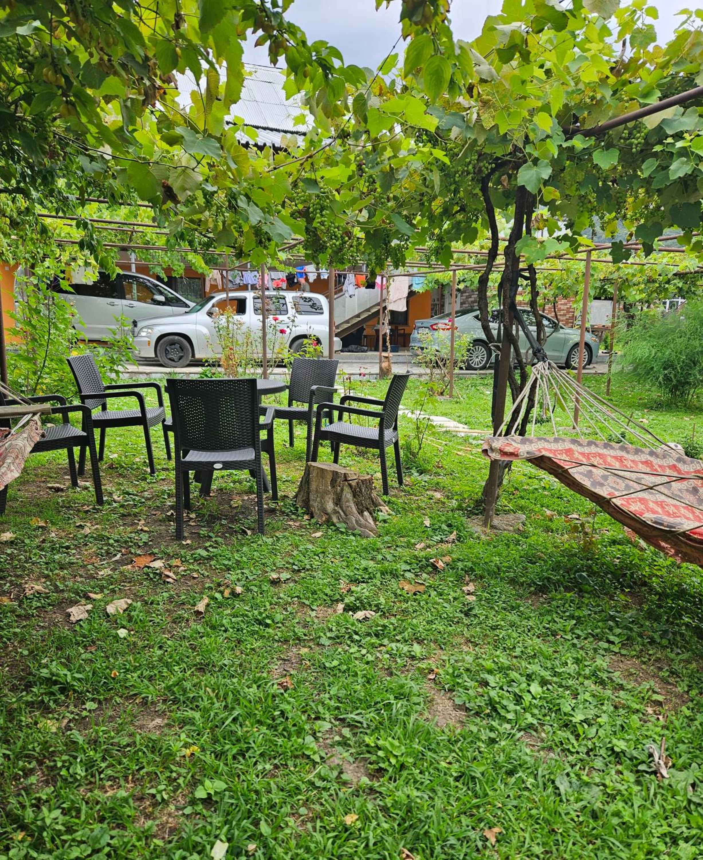 Guest house lagodekhi