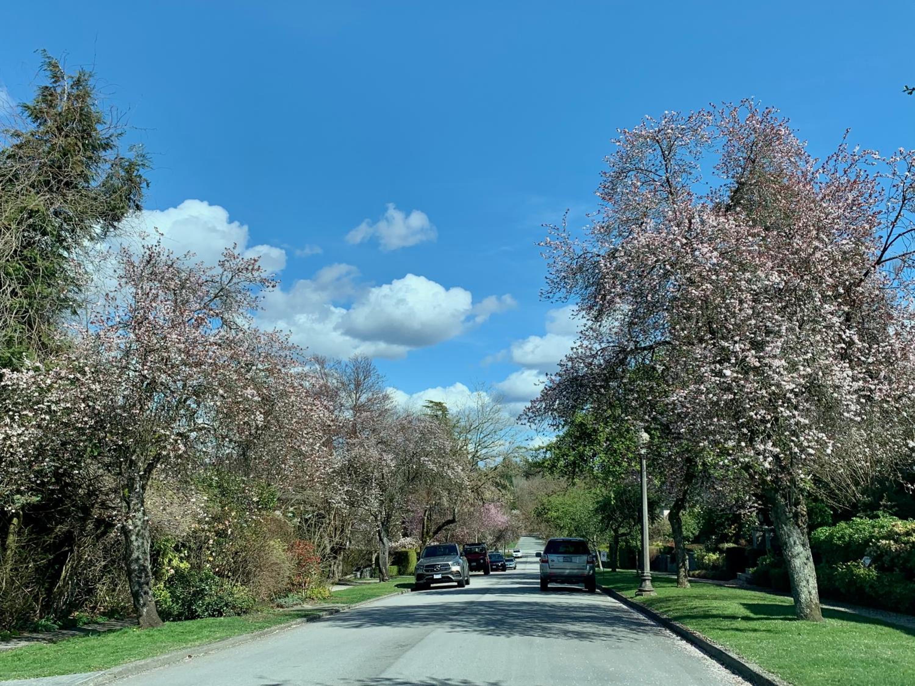 3Beds 2BA Cherry Blossom Suite - Free Parking - Central Oakridge Neighbourhood