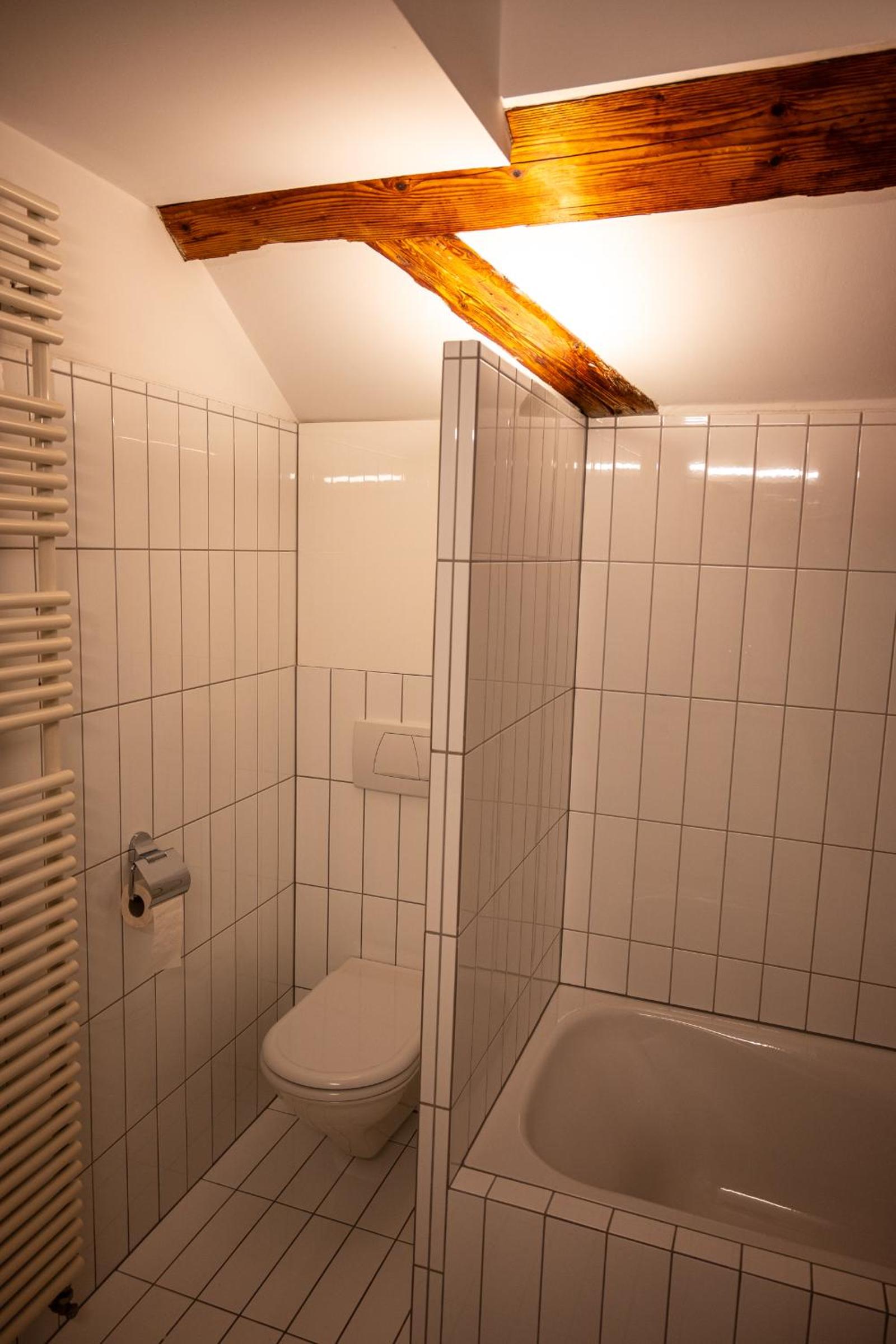 Große Dachgeschosswohnung im Herzen von Bregenz
