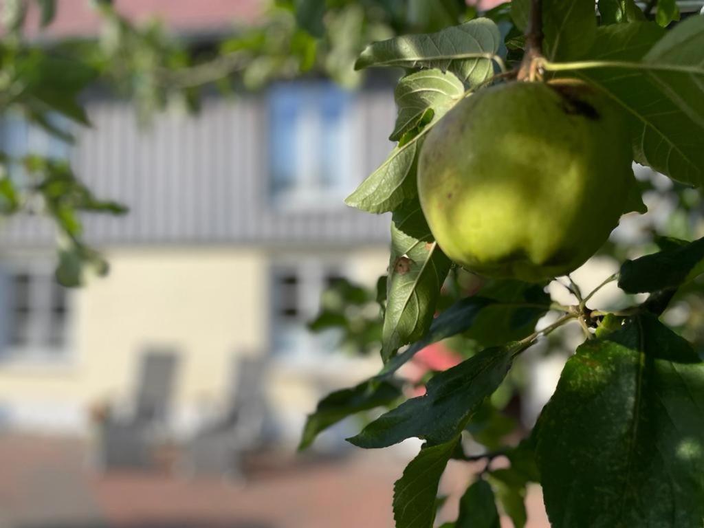 Ferienwohnung An der Linde