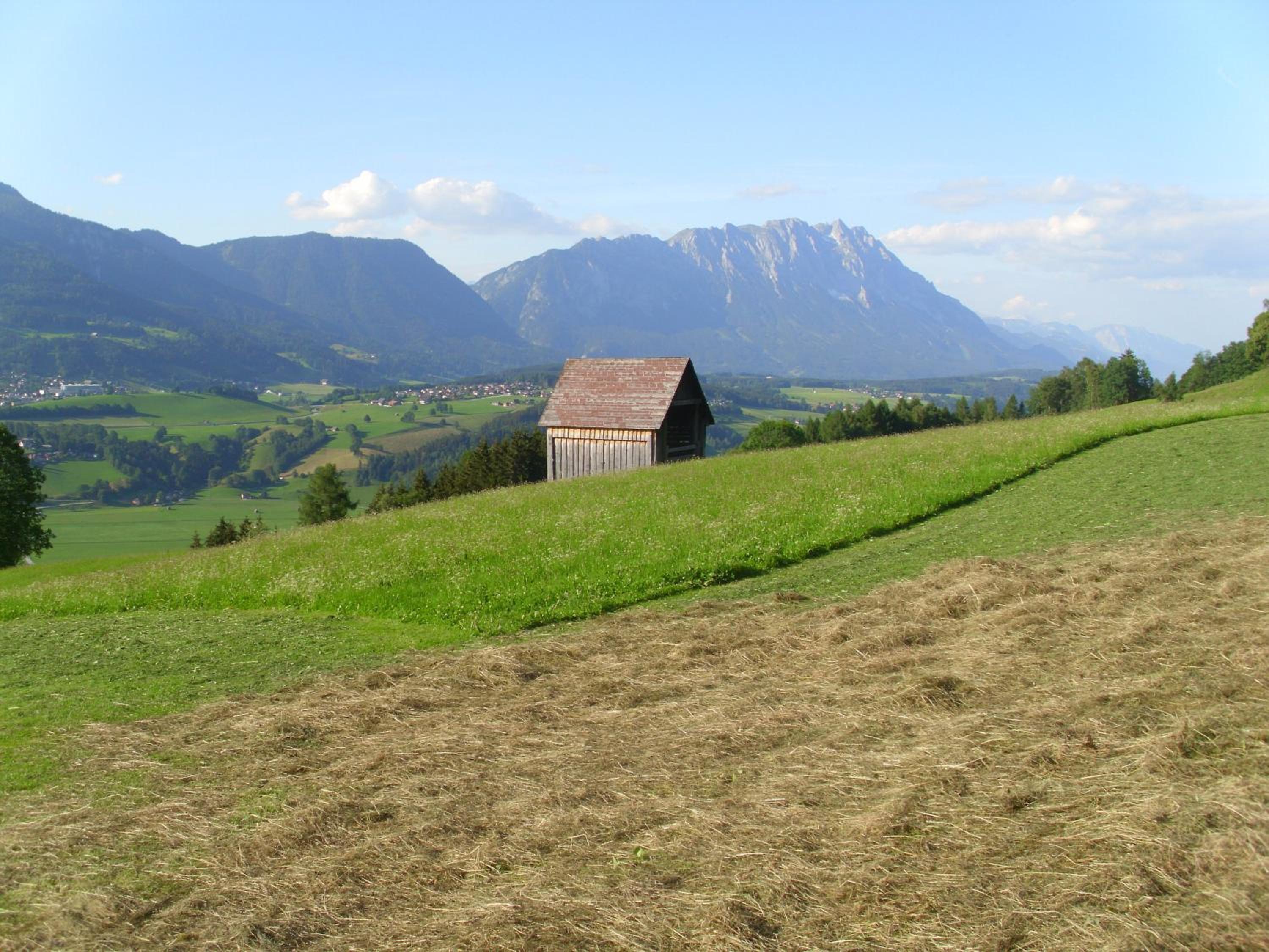 Panoramahof Gupf