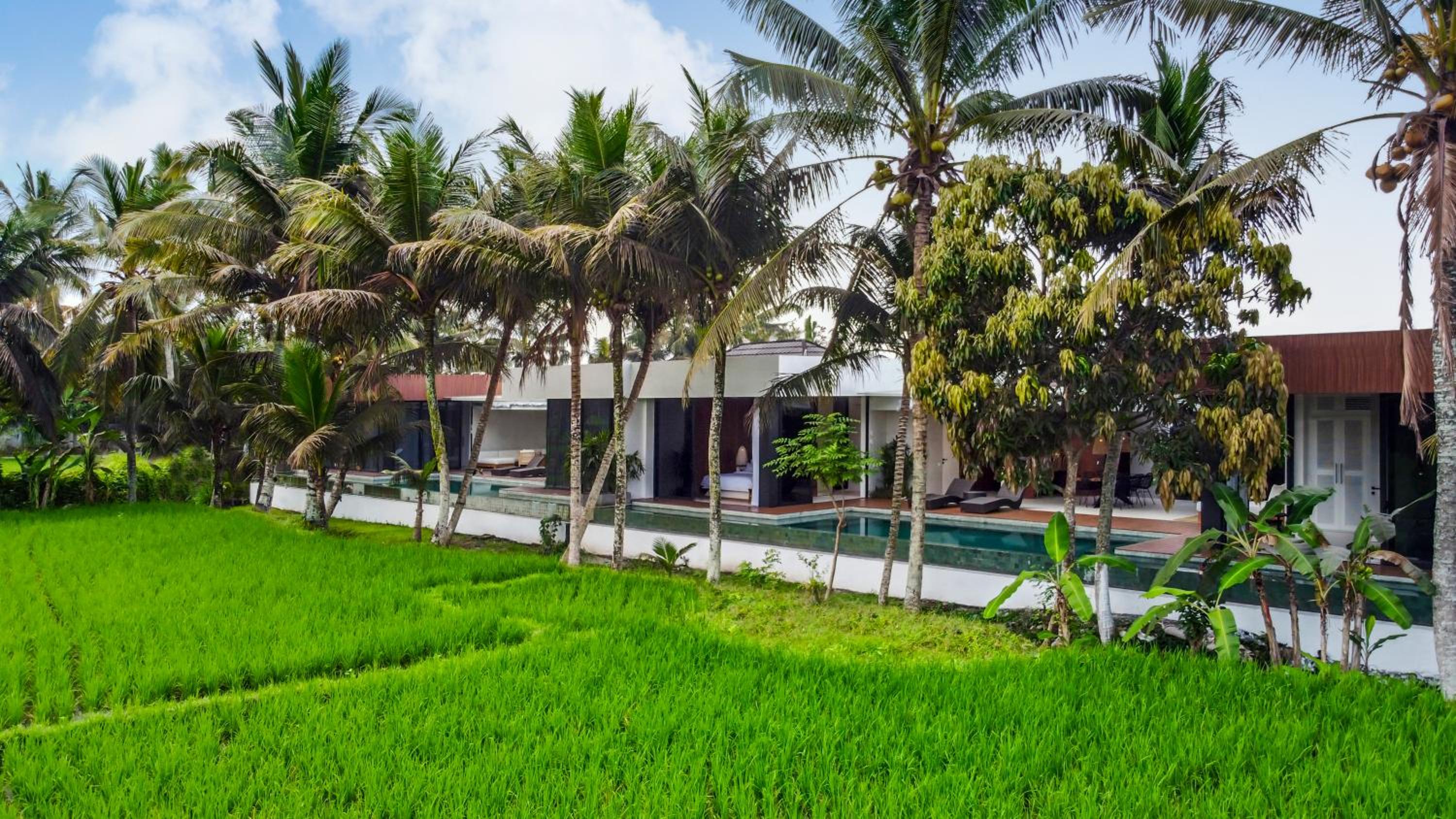 Villa Euphoria Ubud view 5