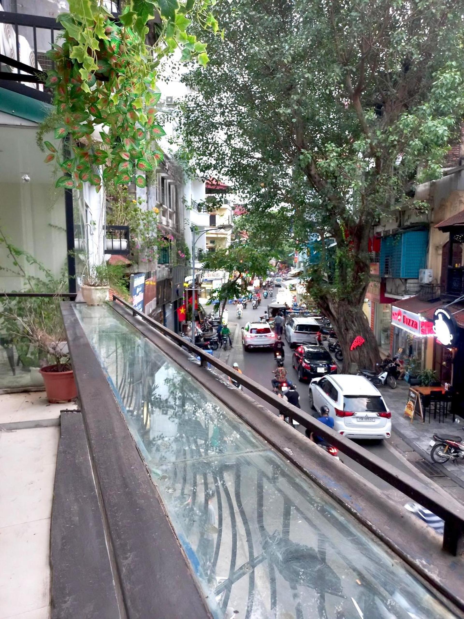 Amelié Homestay