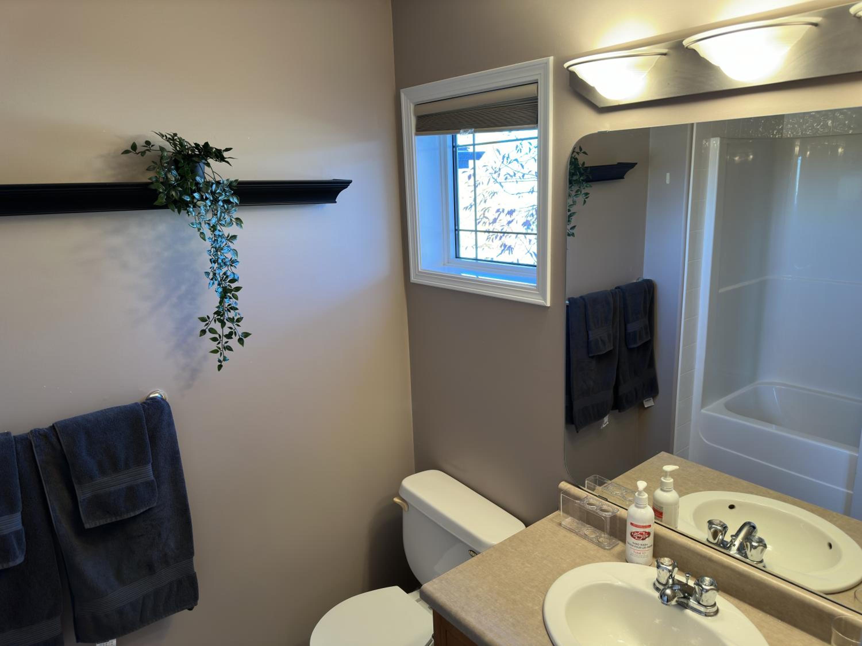Spacious & Private Retreat near West Edmonton Mall