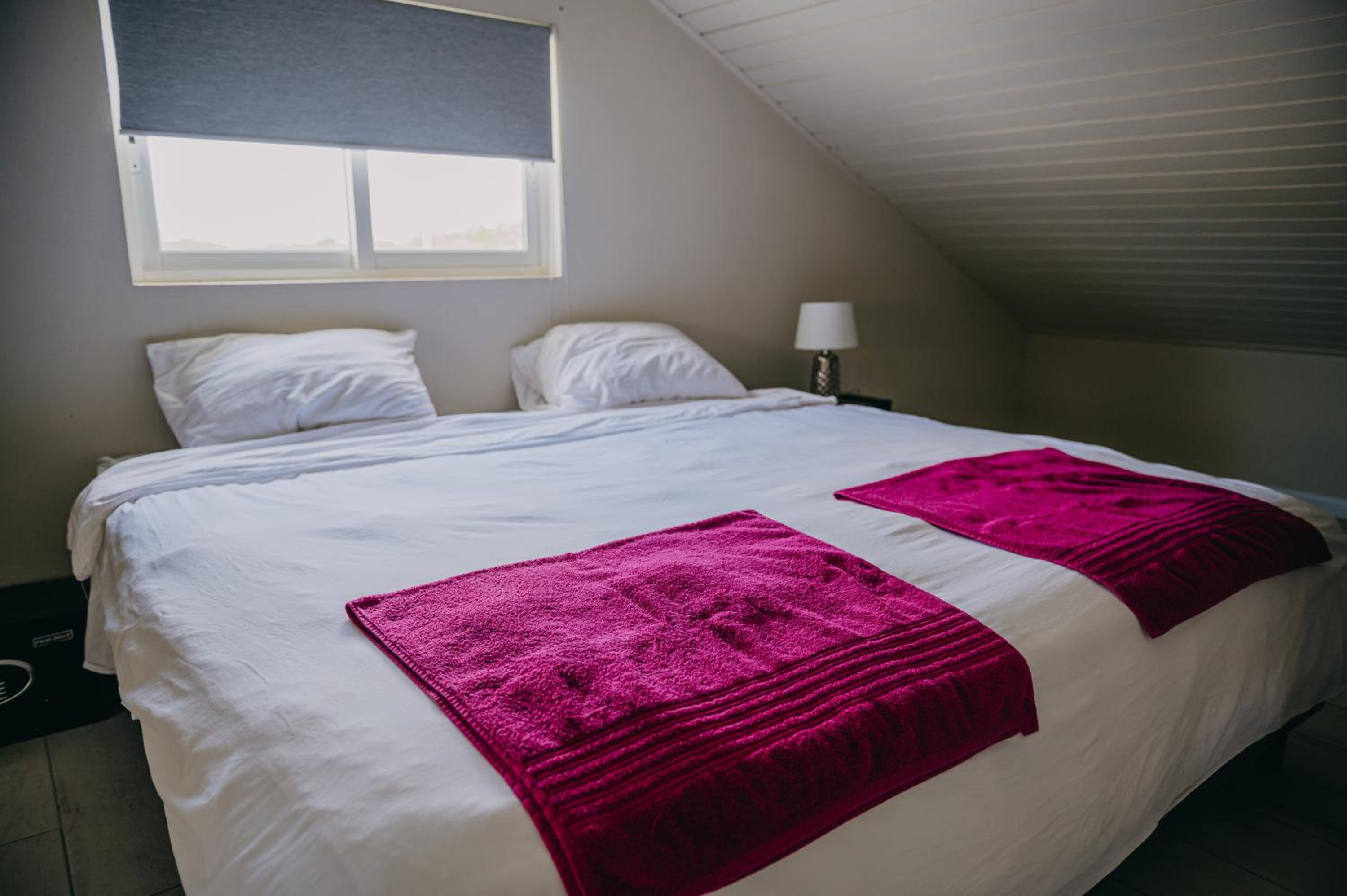 Cozy 1-bedroom-apartment 2 km from Eagle beach