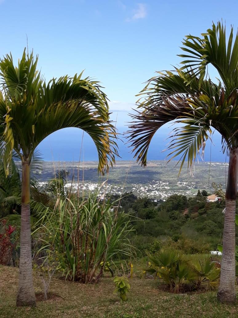 Là Haut-Lé Beau view 4