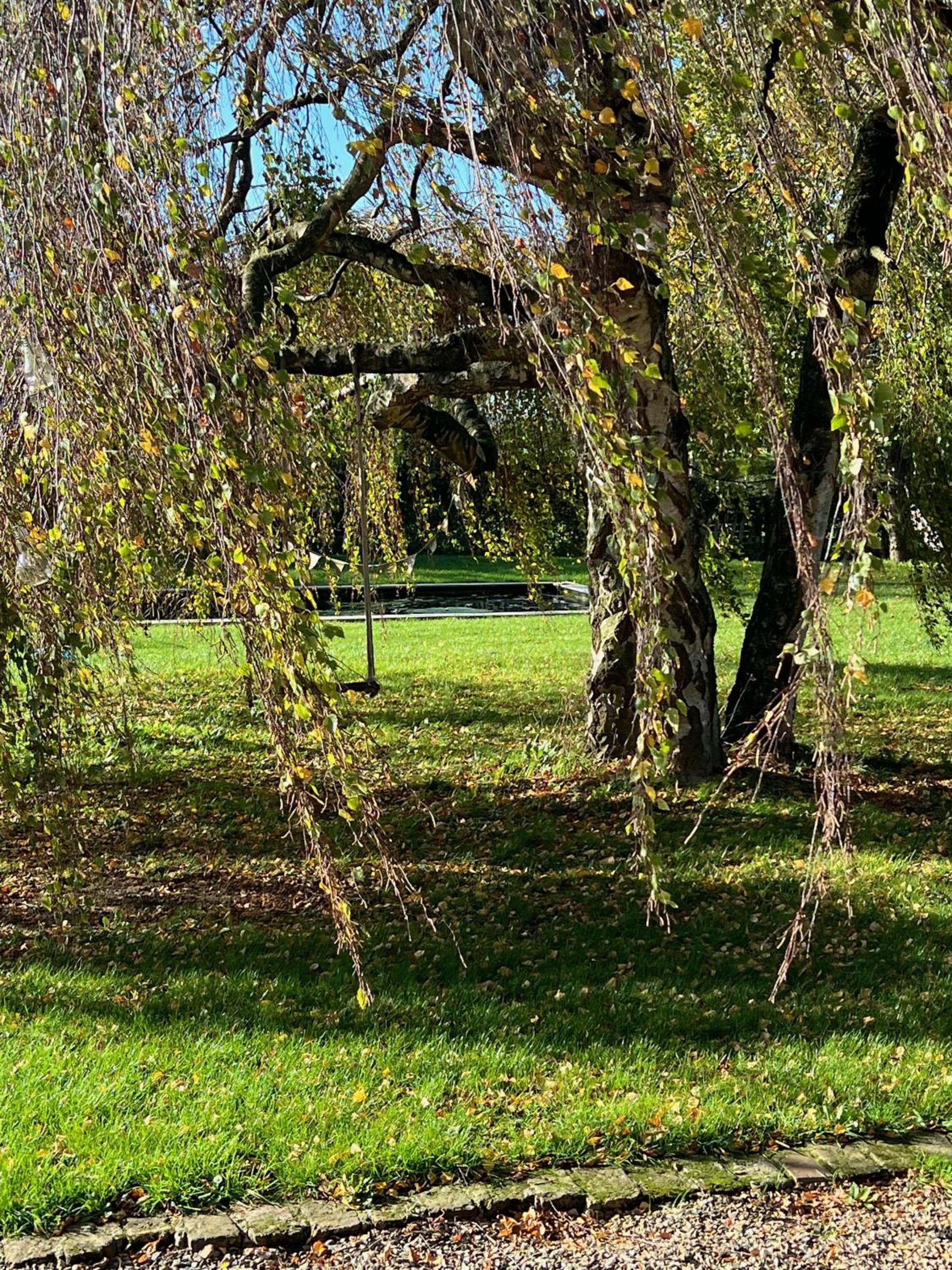 Photo 45