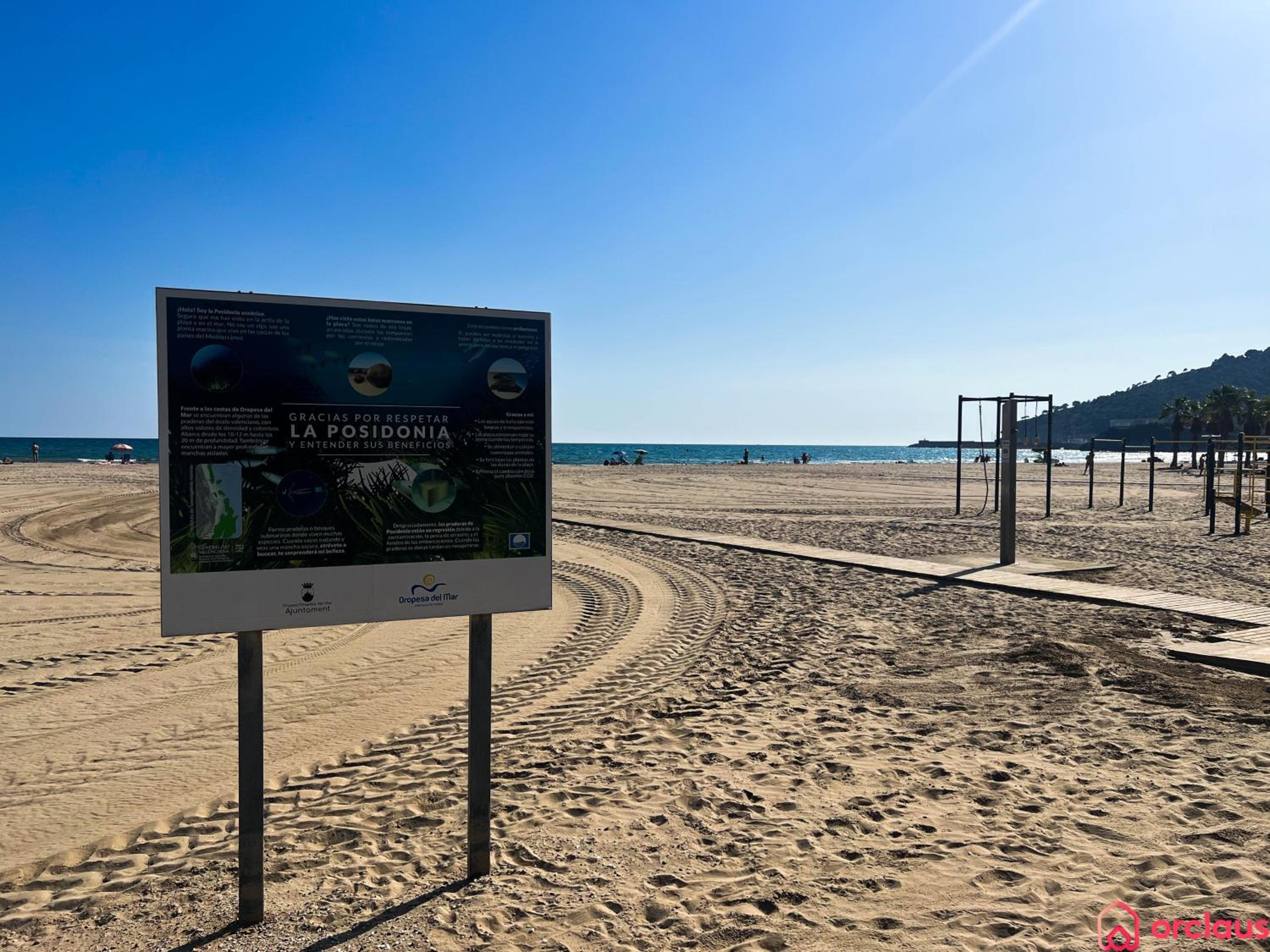 El Paraíso en Playa Concha