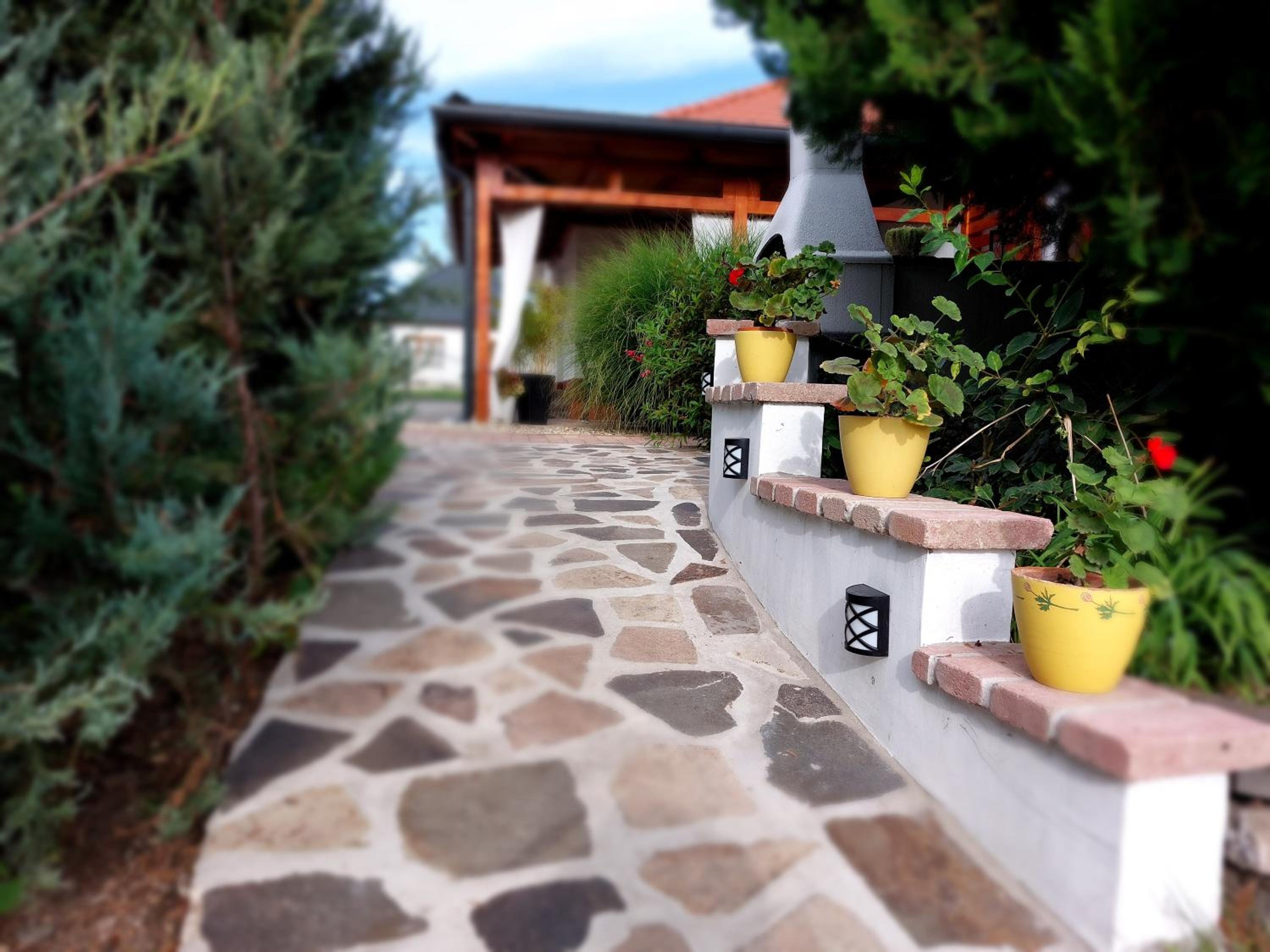 Photo 41
