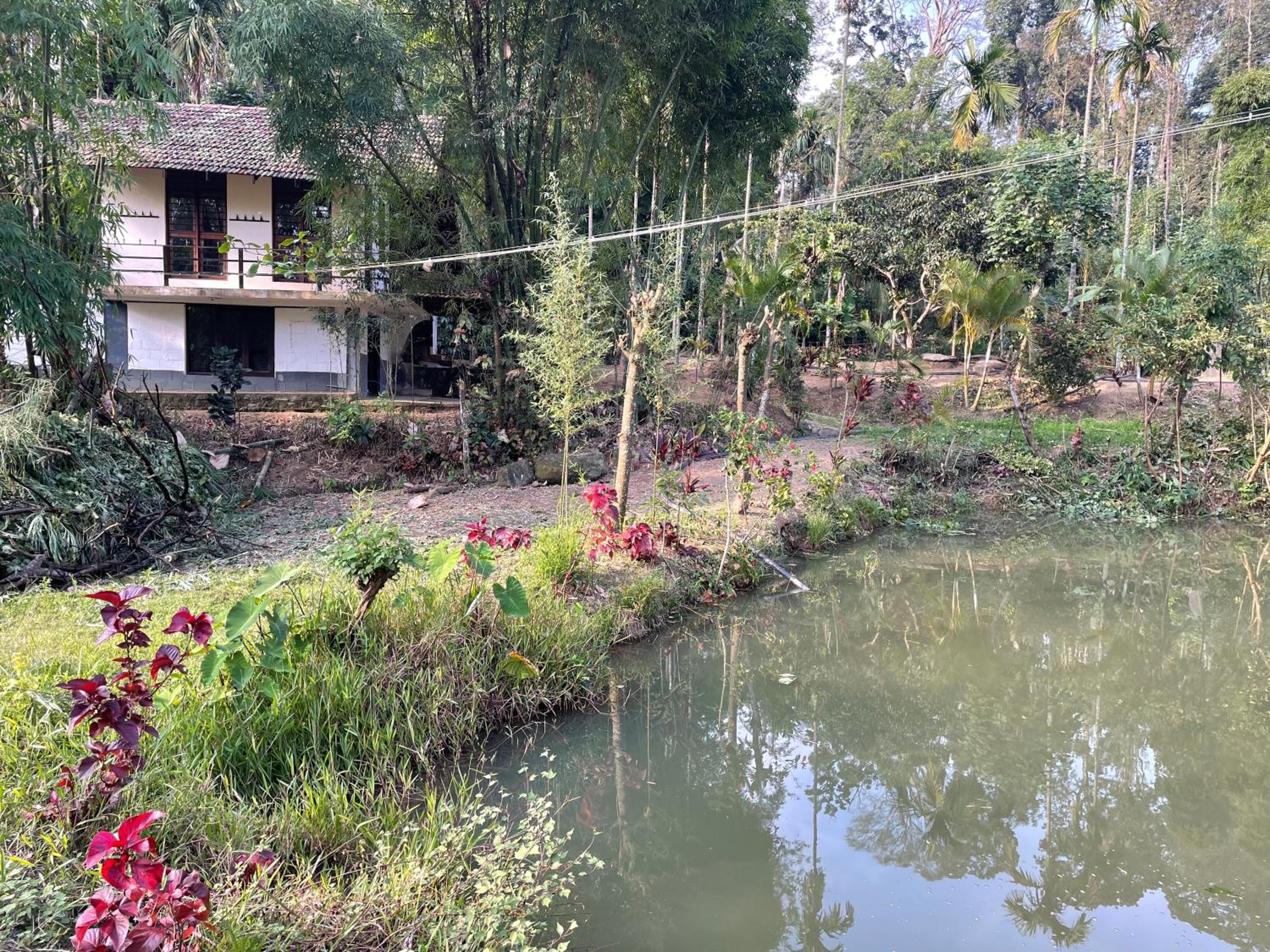 Coorg Northbreeze Estate stay