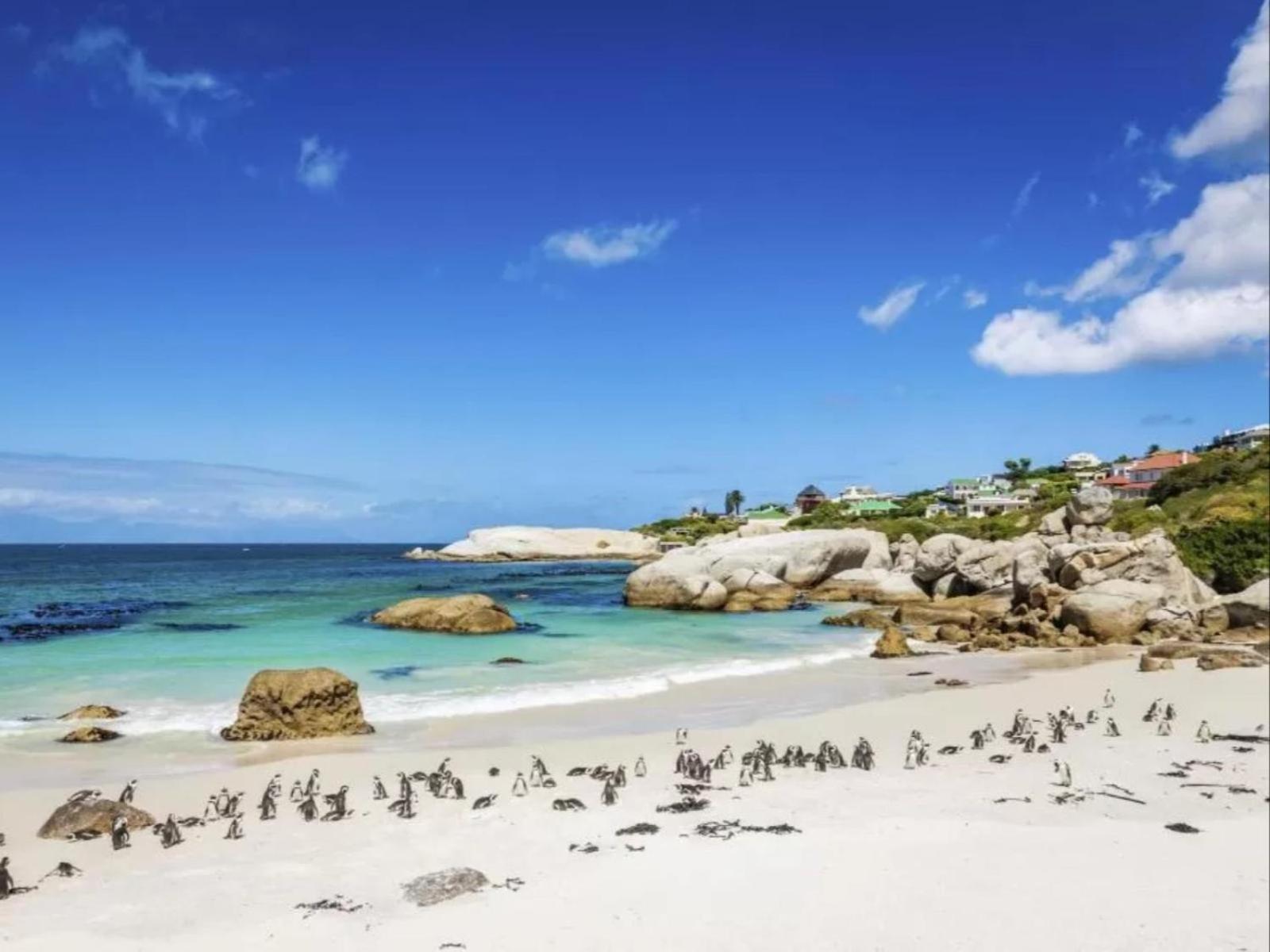 Boulders Beach Villa
