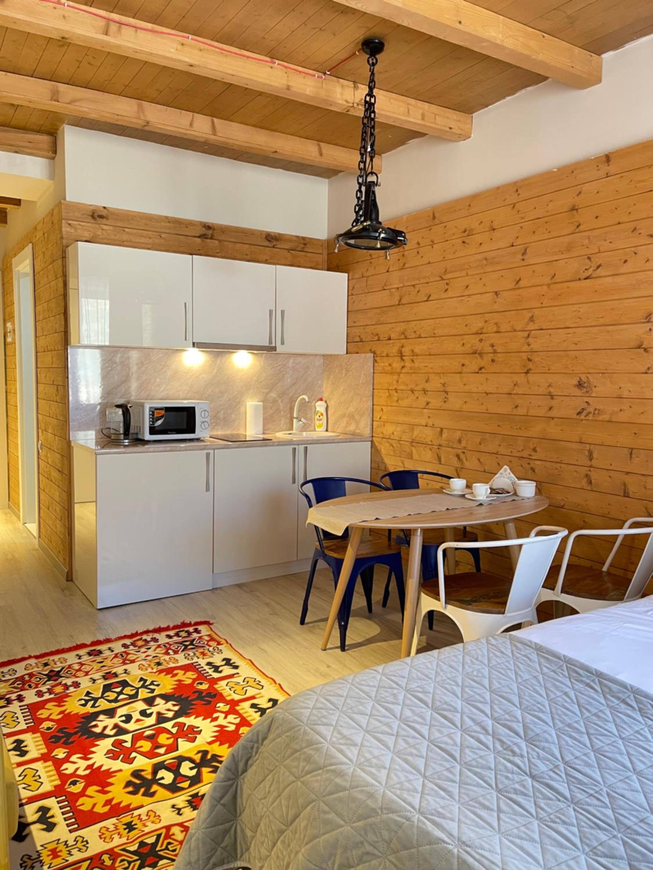 Ski in Ski out Slopeside apartments just 50 meters from the Gondola in New Gudauri view 2